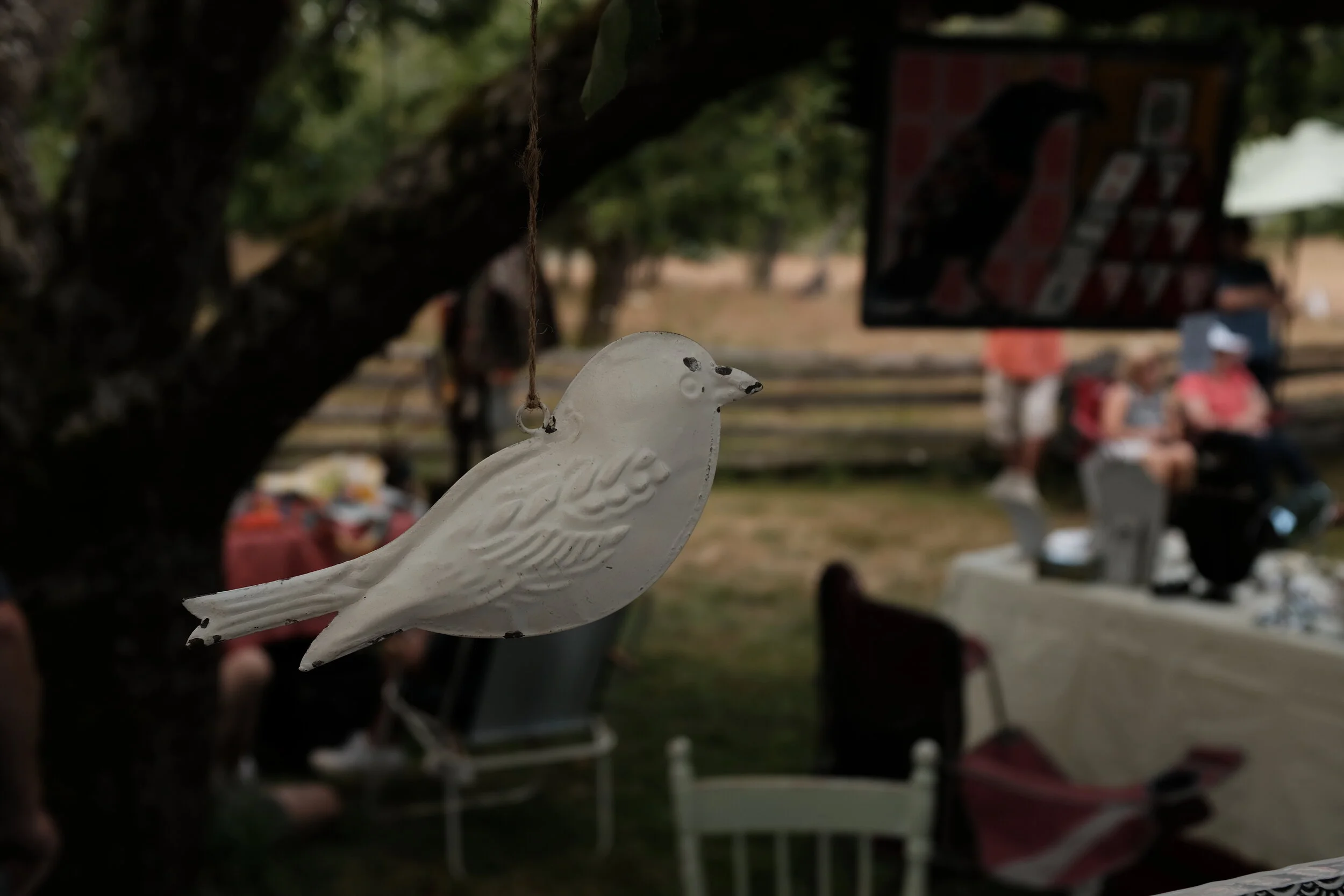 DSCF3702.JPG