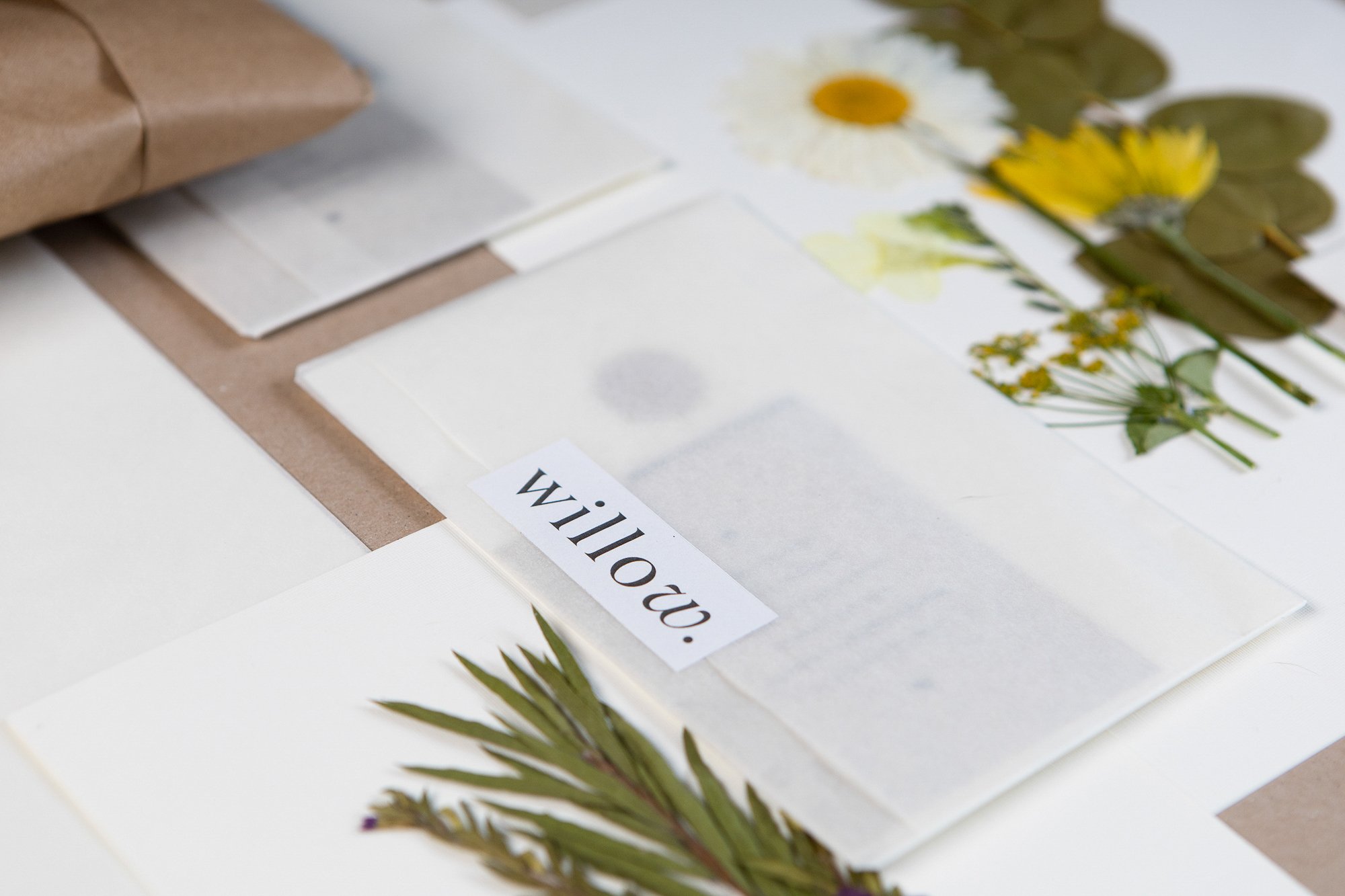 Branding for Willow