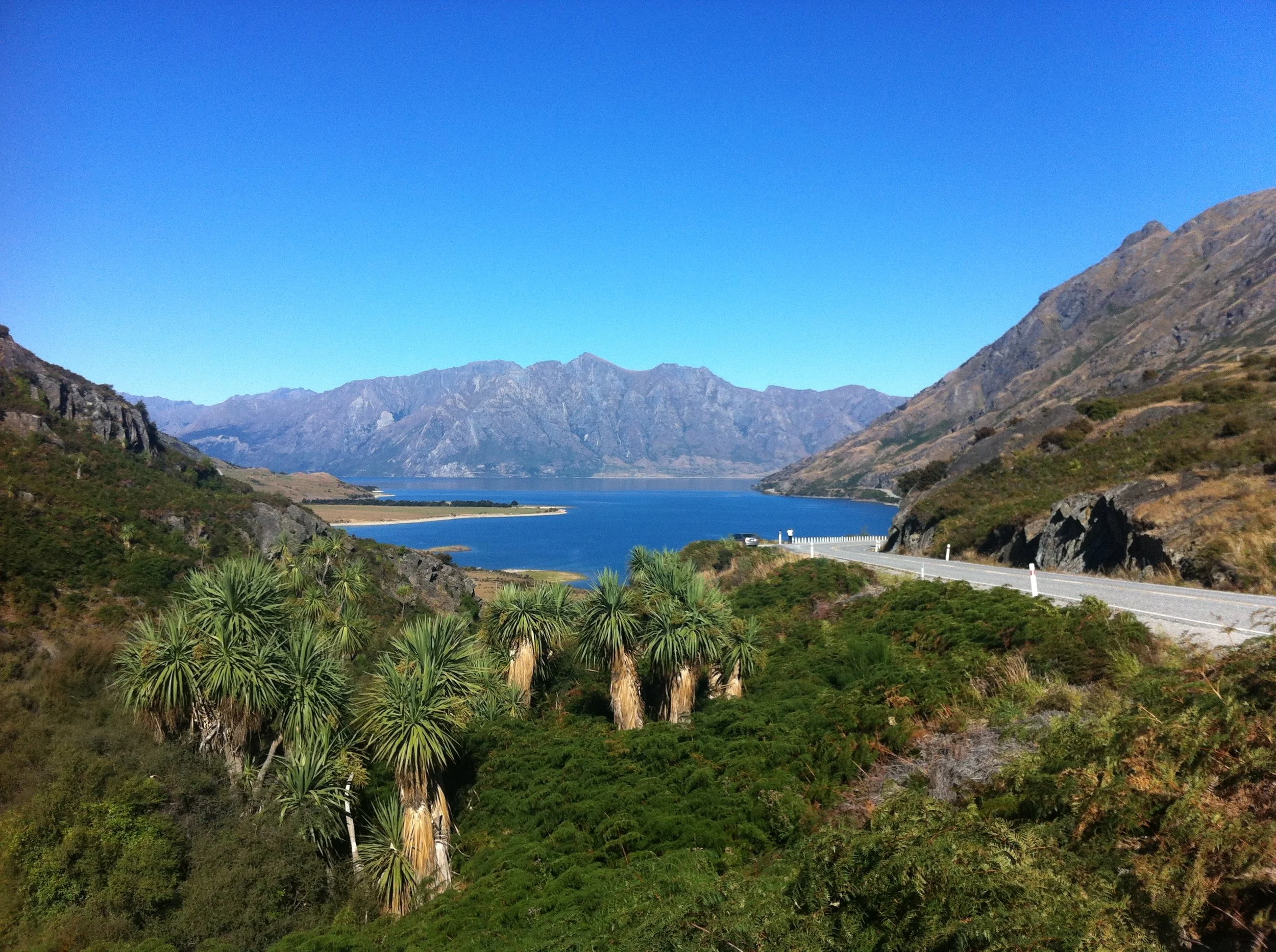 P6 Explore NZ 5.JPG