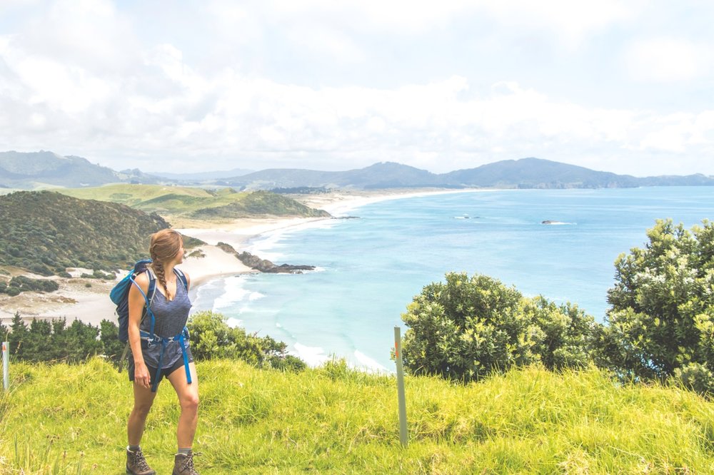 Bream Head track.jpg