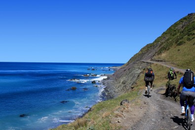 Rimutaka-Cycle-Trail.jpg