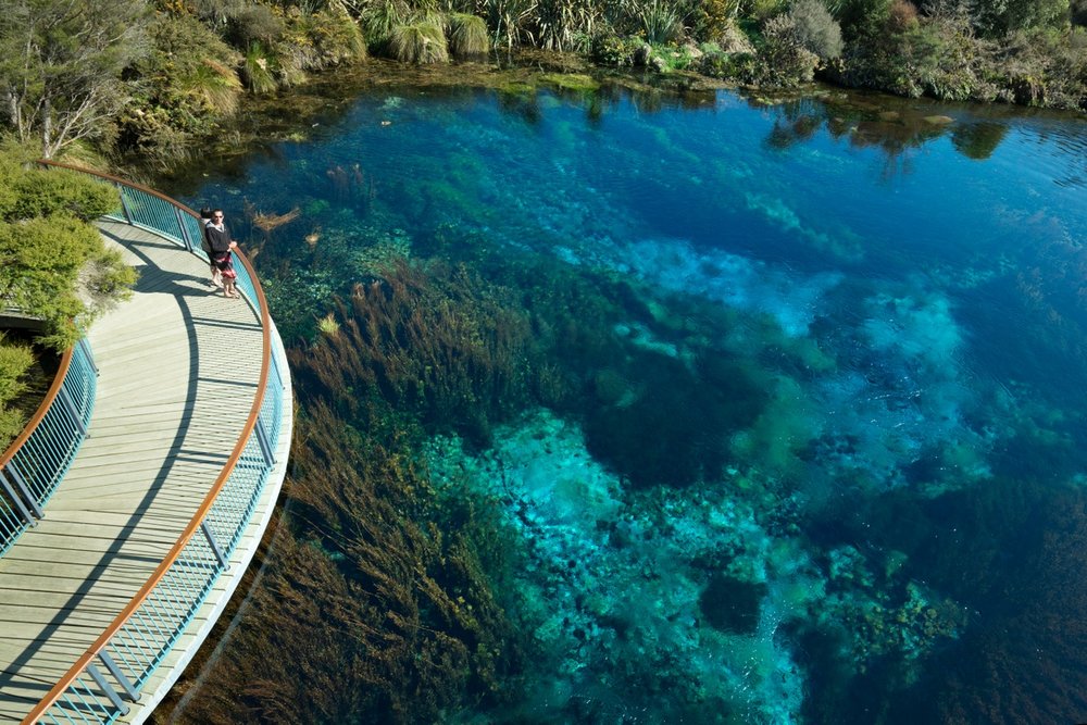 Te Waikoropupu Springs.jpg