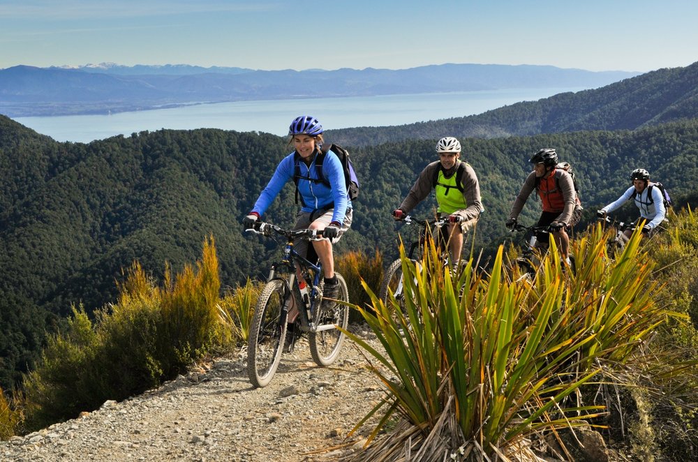 Mountainbikers on Dun Mountain Trail.jpg