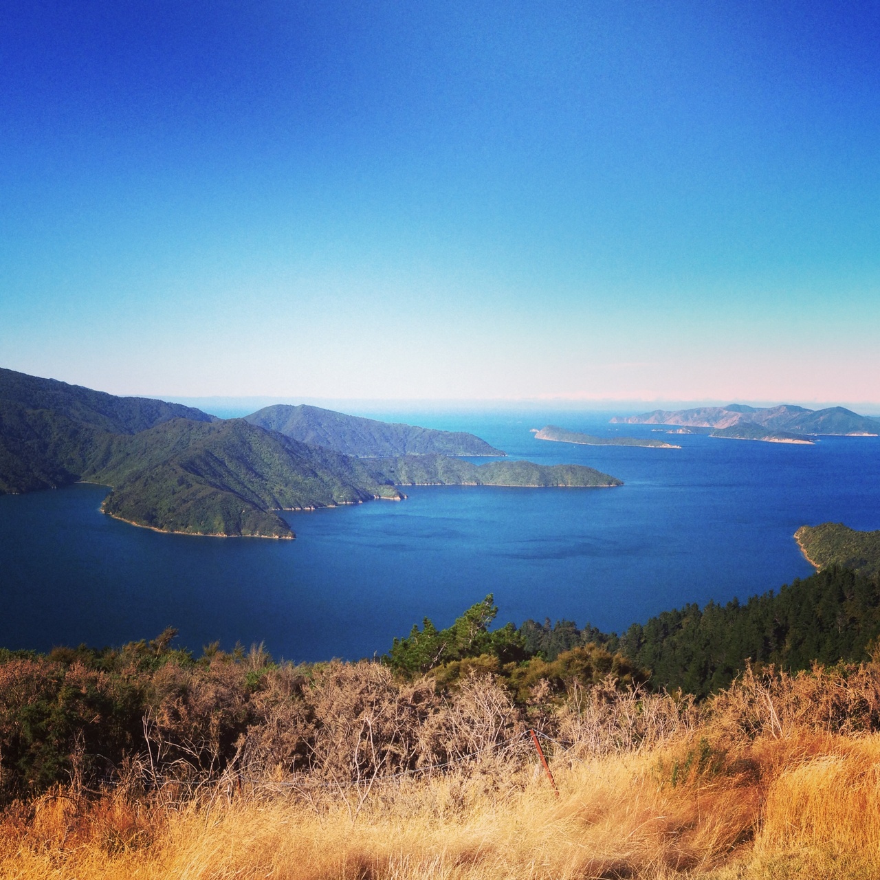 Queen Charlotte Track in March.jpg