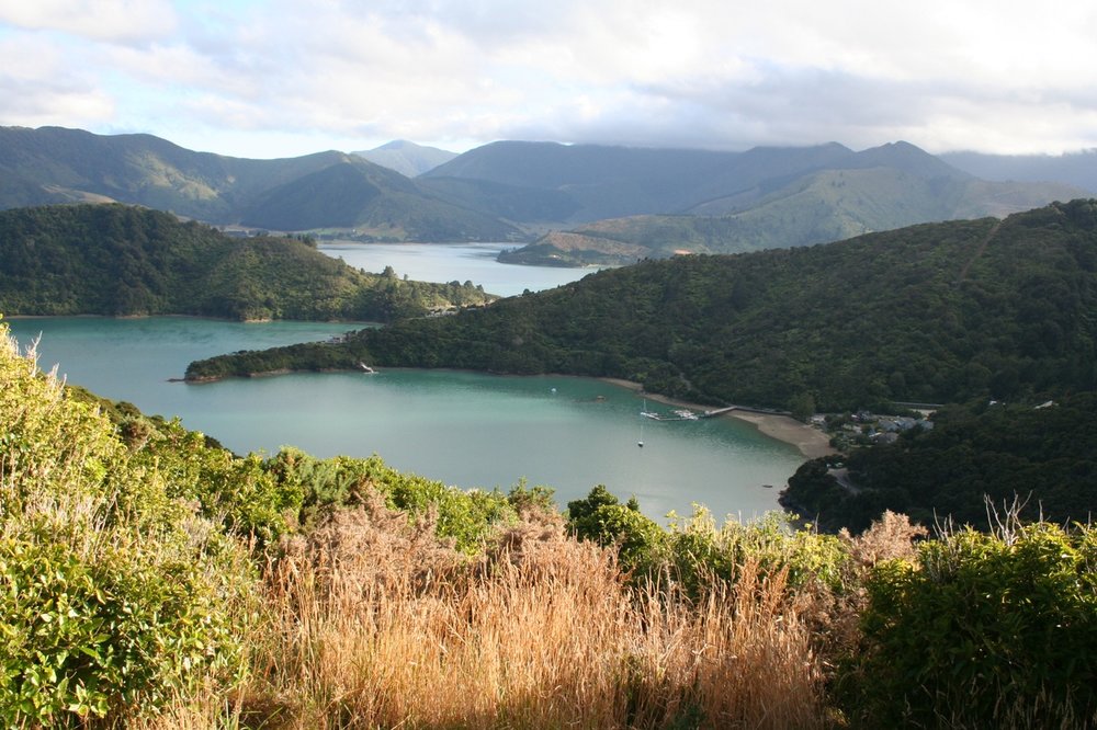 Ridgeline, The Queen Charlotte Track.jpg