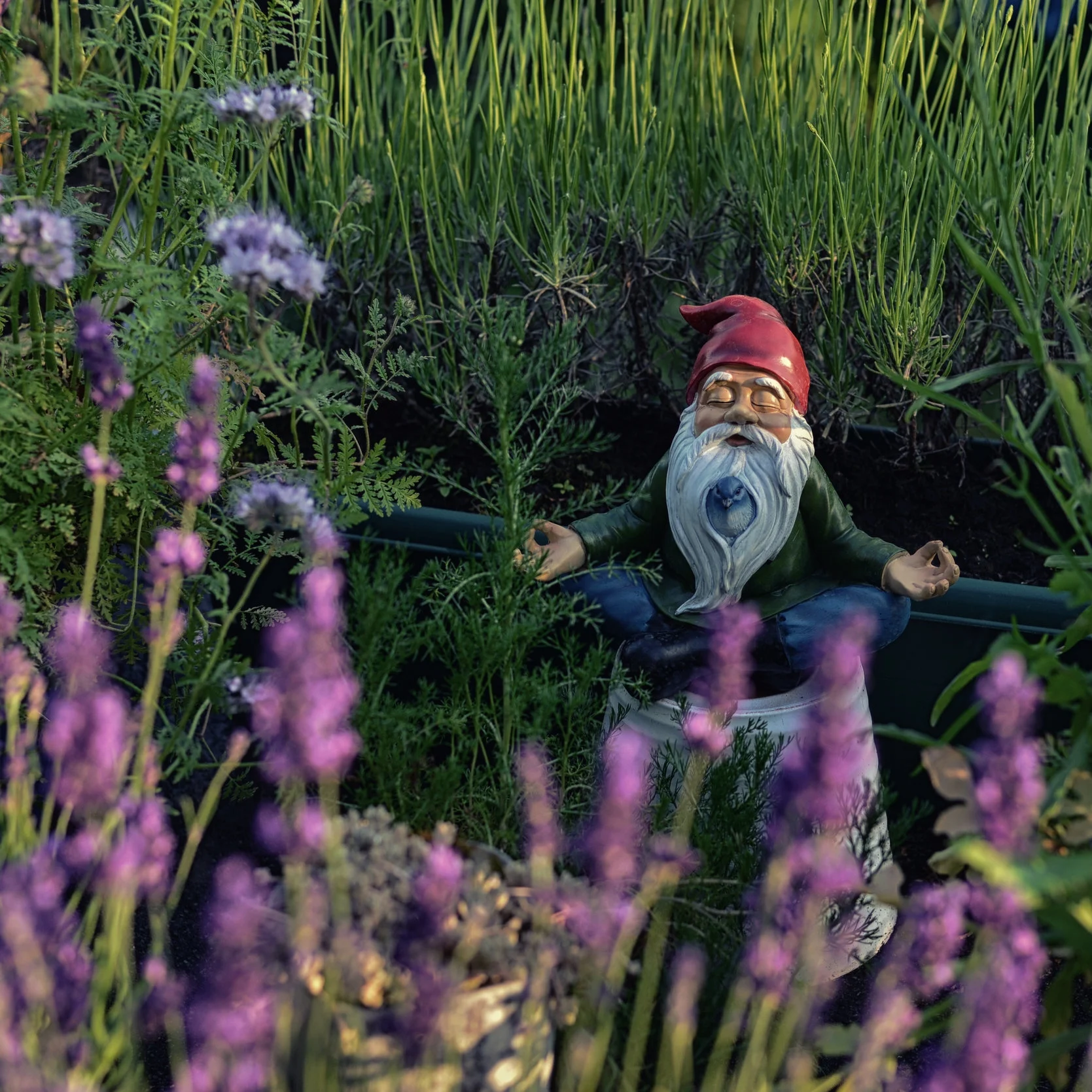 Meditation - Value and Challenge