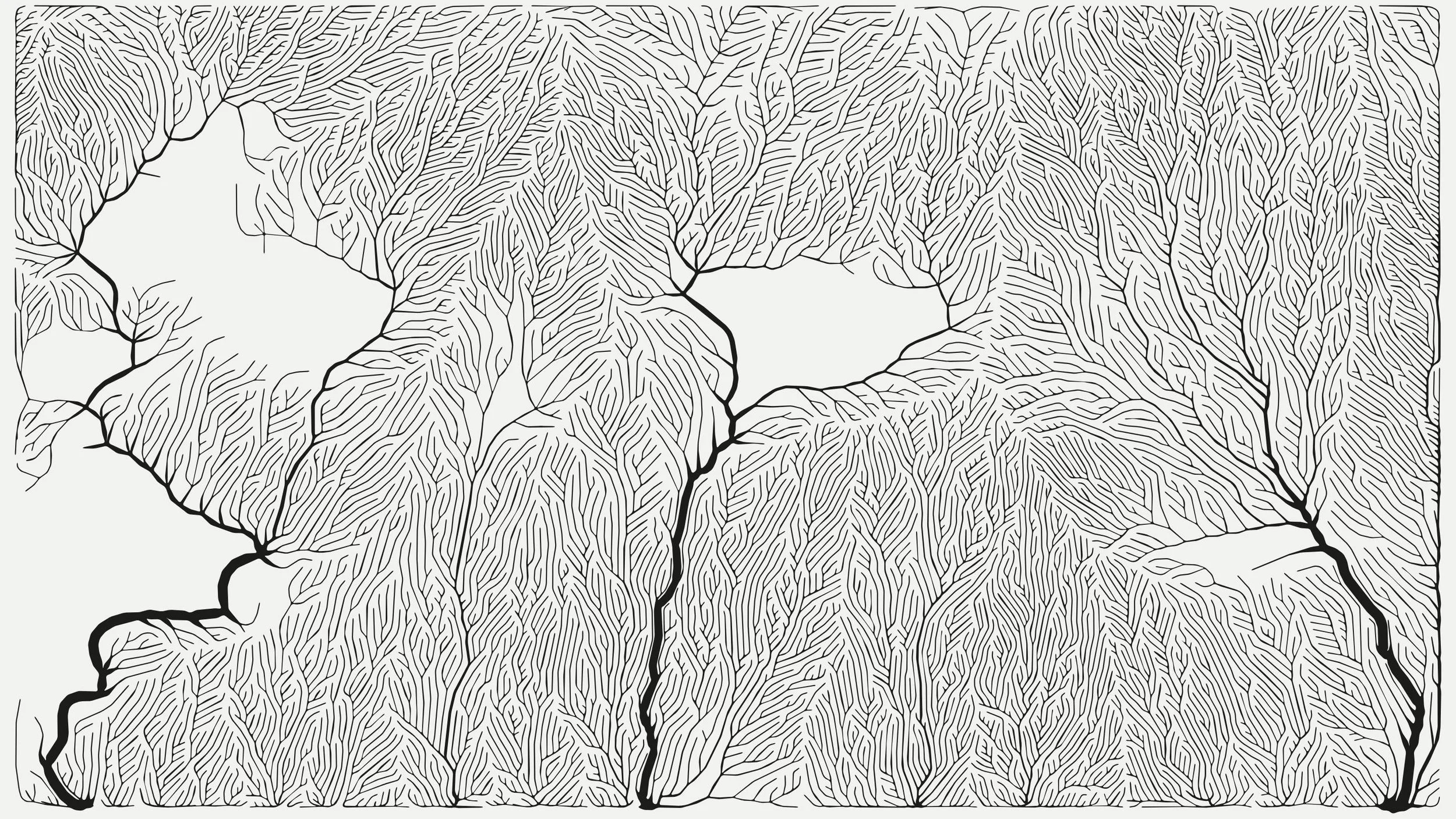 Black and white abstract line drawing depicting a network of branching patterns resembling veins or roots.