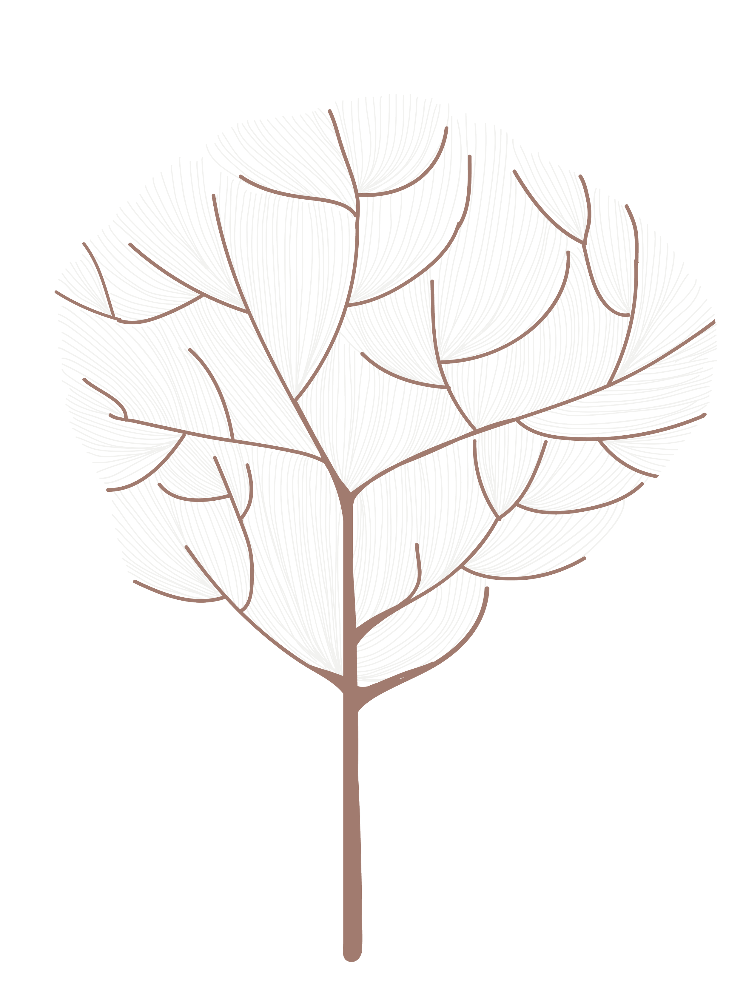 Illustration of a stylized leaf with white veins on a black background.
