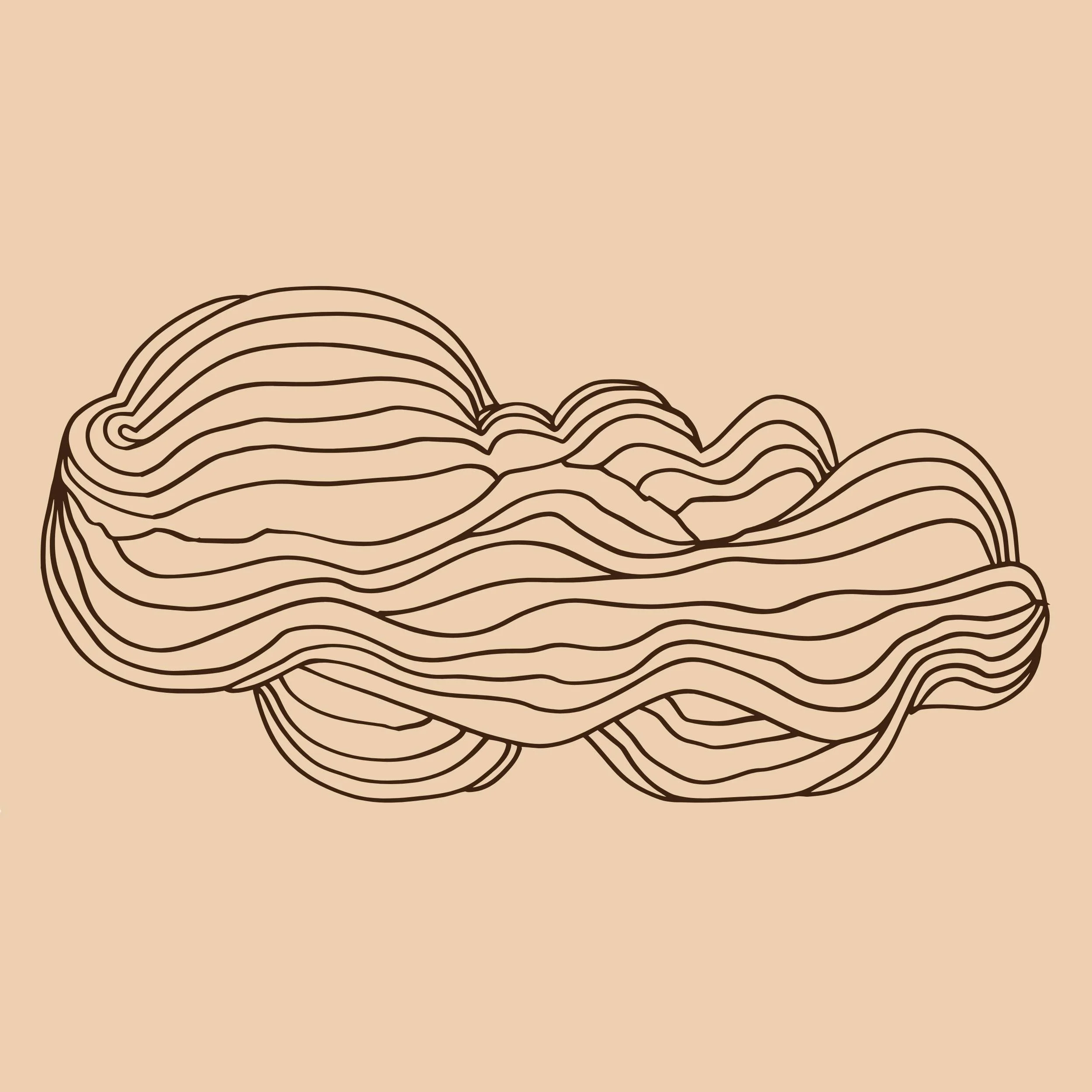 Line art illustration of a thick, wavy, abstract shape resembling a strand of spaghetti on a beige background.