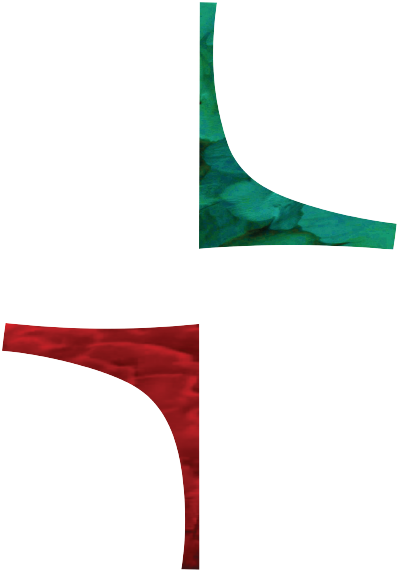 Flaxmore-Logo-200px_reverse@2x.png
