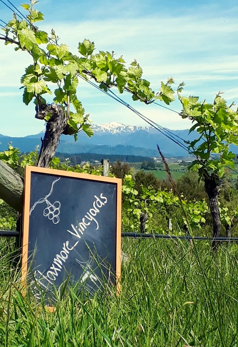 Cellar Door for Flaxmore