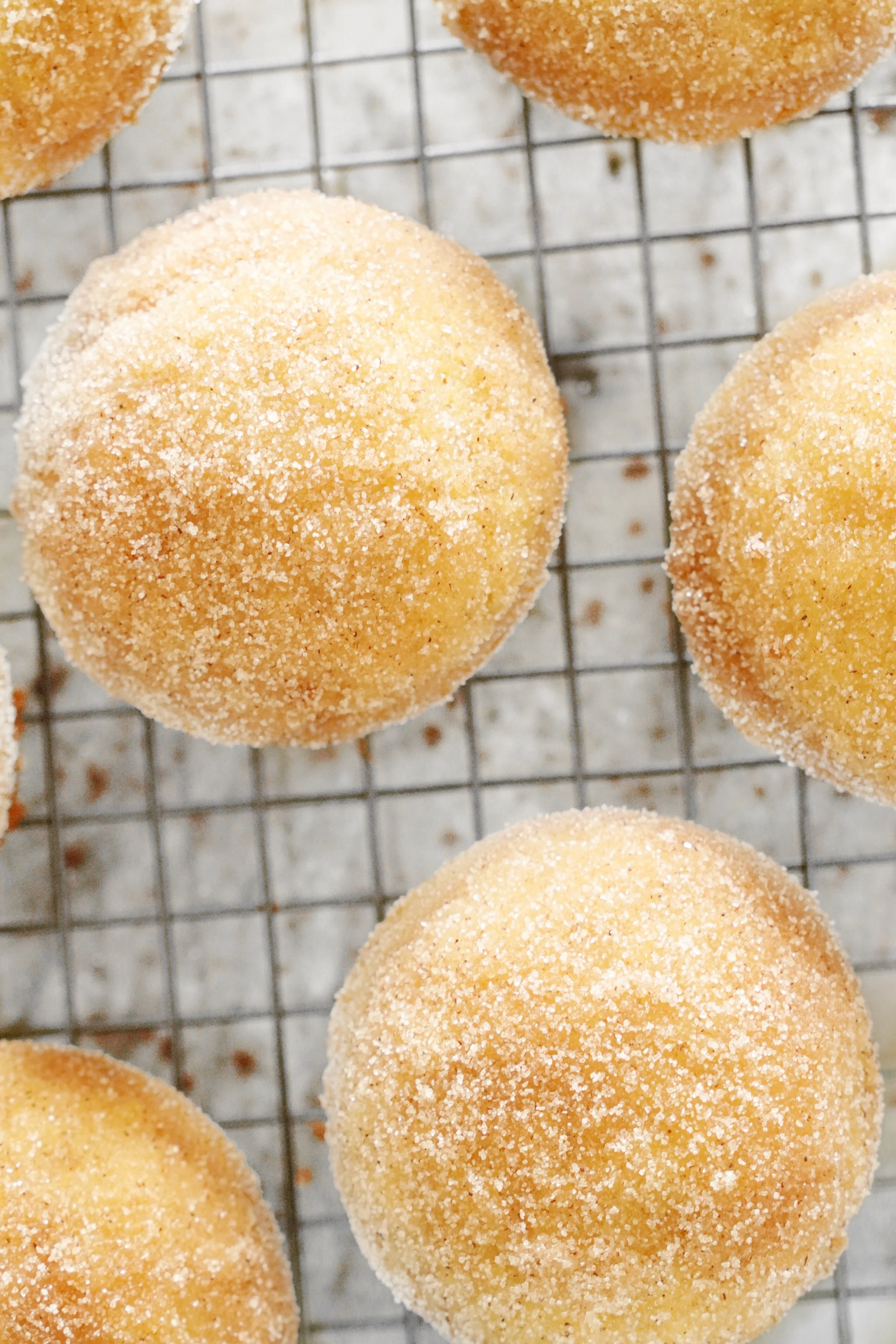 muffins.jpeg