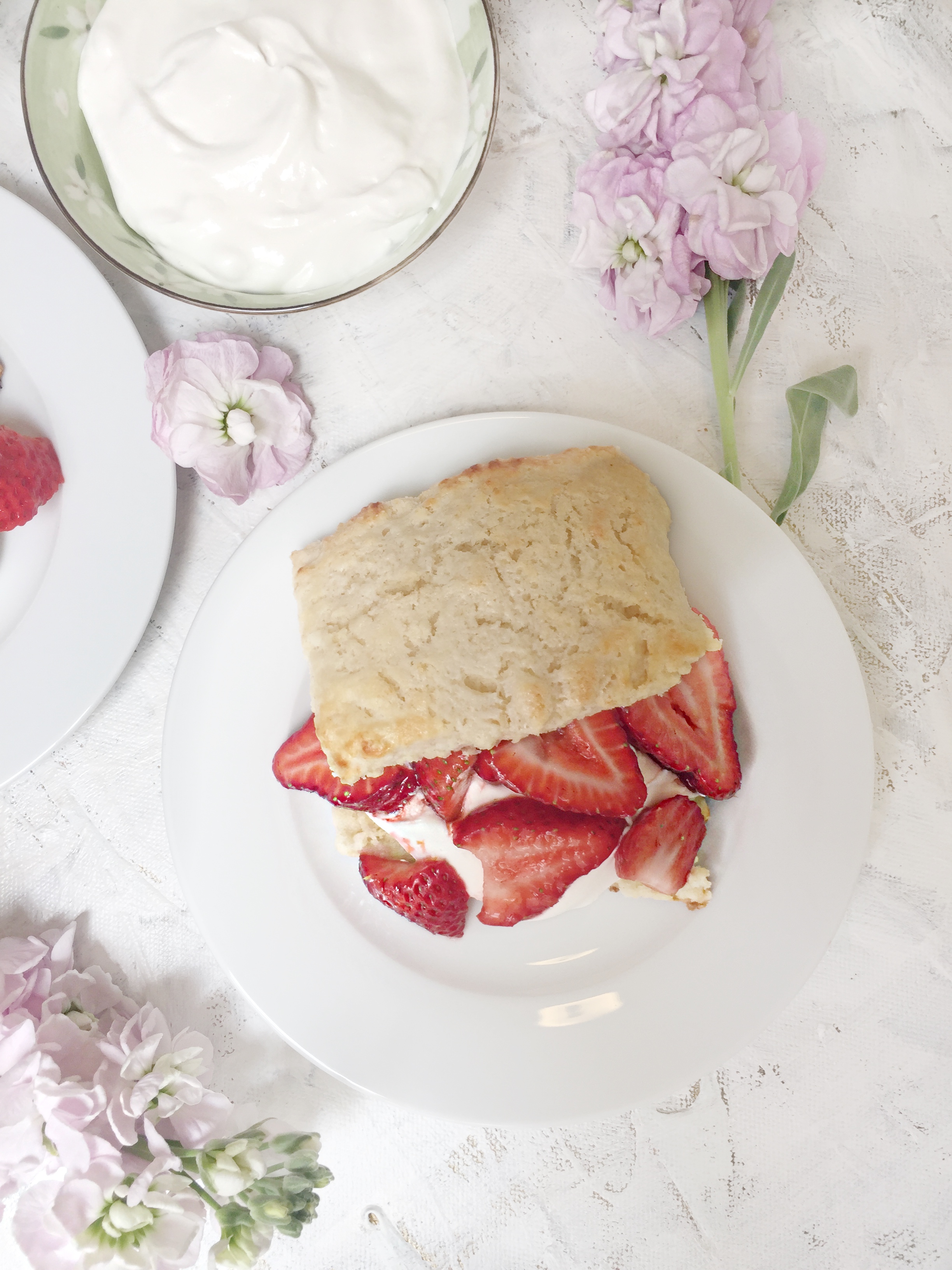 shortcake2.jpeg