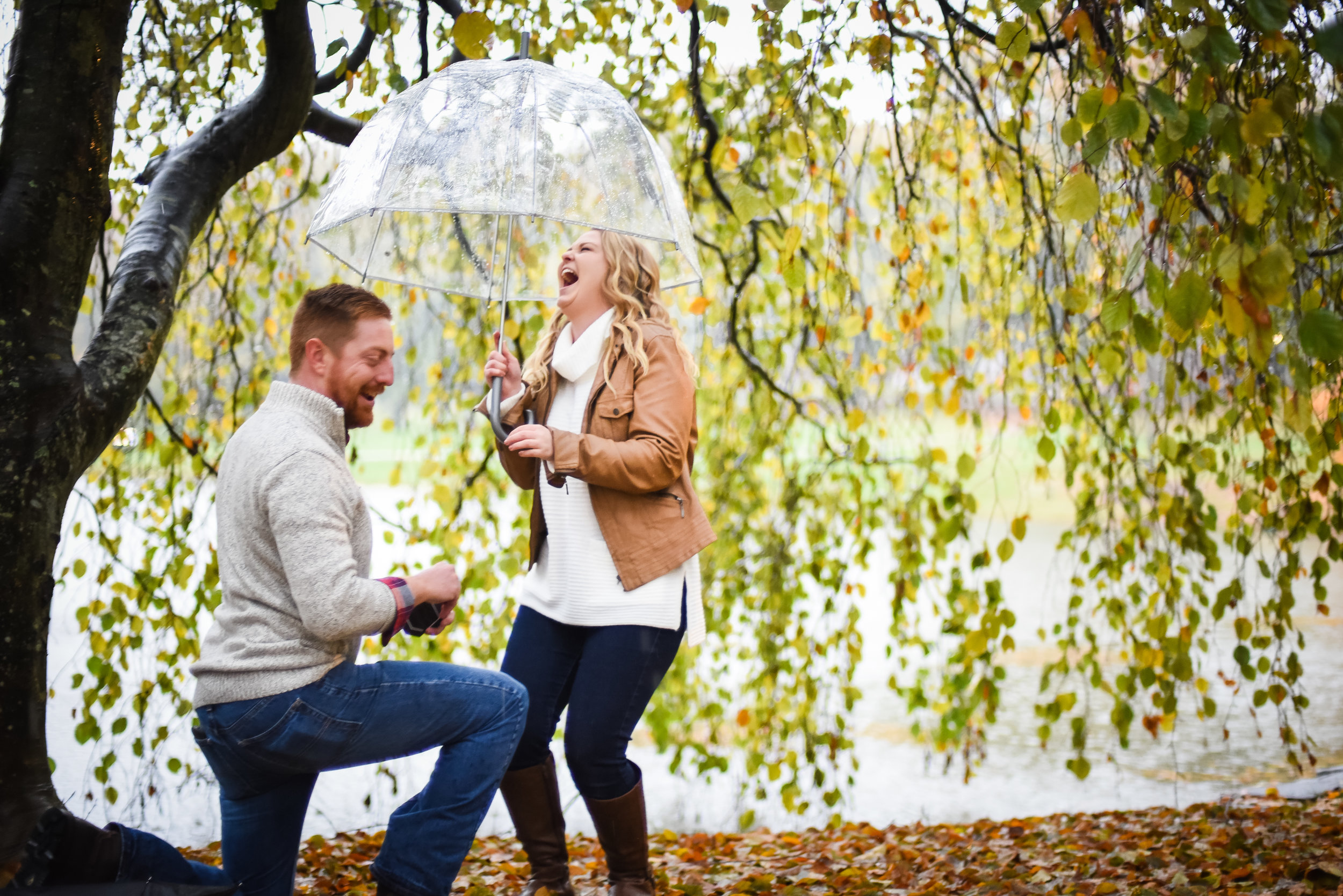 Trent + Andi - Proposal