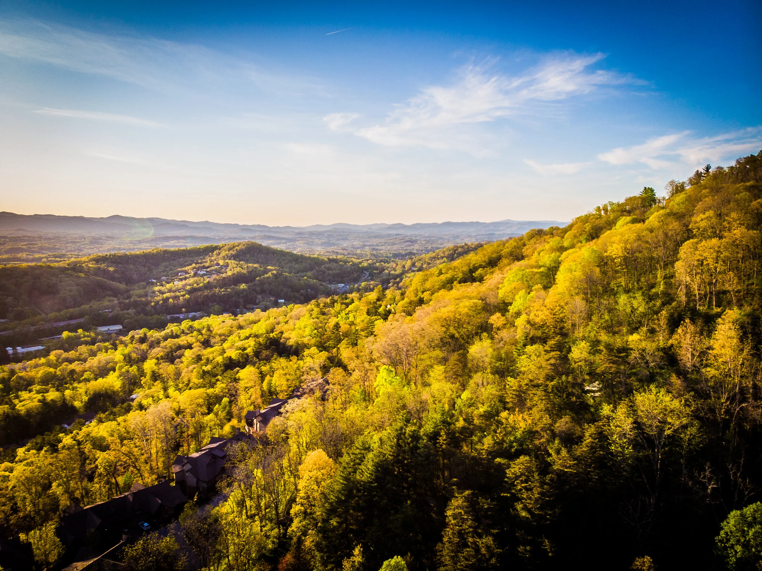 Asheville-Real-Estate_5.jpg