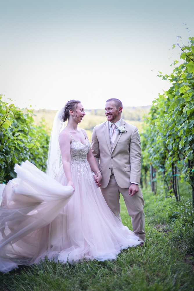 bride and groom smiling at each other in between grape vines at Point Lookout Vineyards in Hendersonville, NC