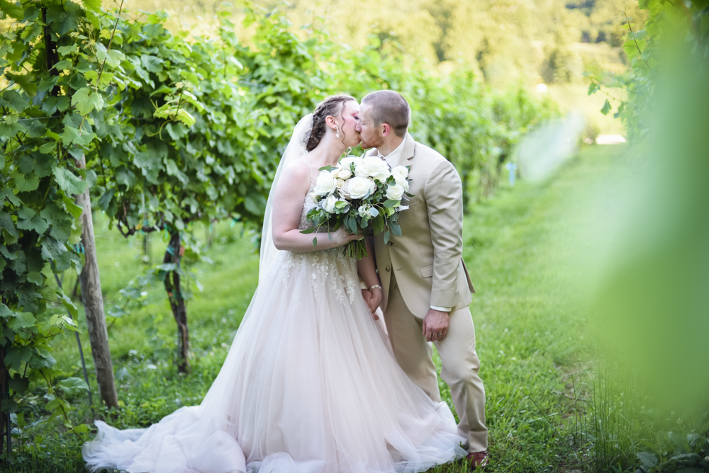 bride and groom kissing in between grape vines at Point Lookout Vineyards in Hendersonville, NC