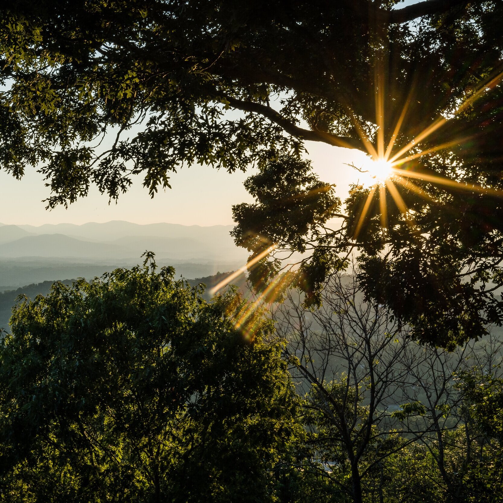 Best Place to live in Asheville, NC - Bent Tree Rd