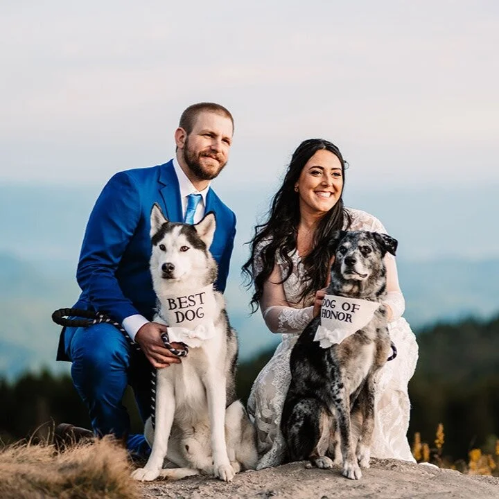 Black Balsam Elopement | Elope Outdoors | Samantha + Kris