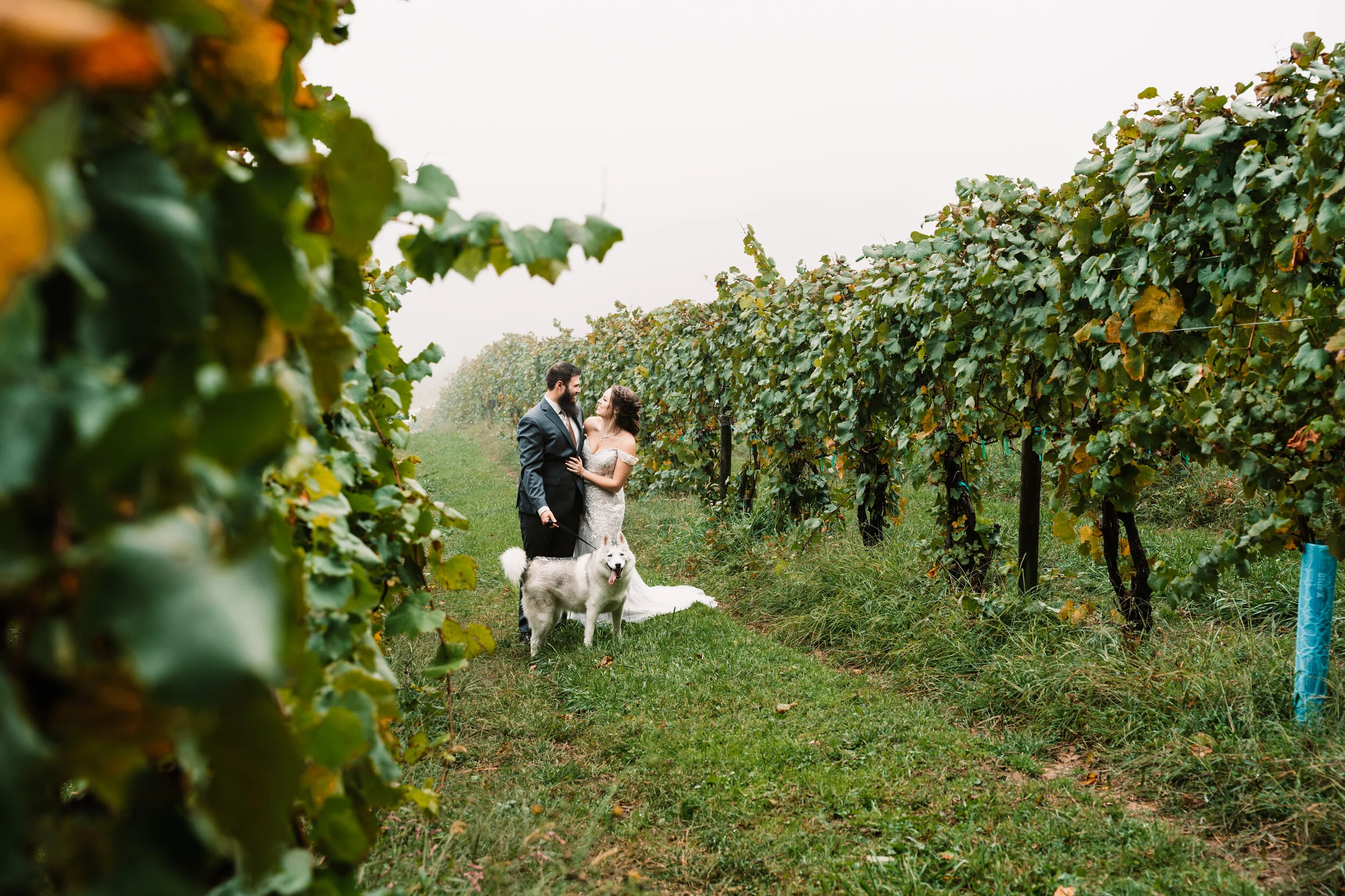 Point Lookout Vineyards Wedding | Brooke + Zach