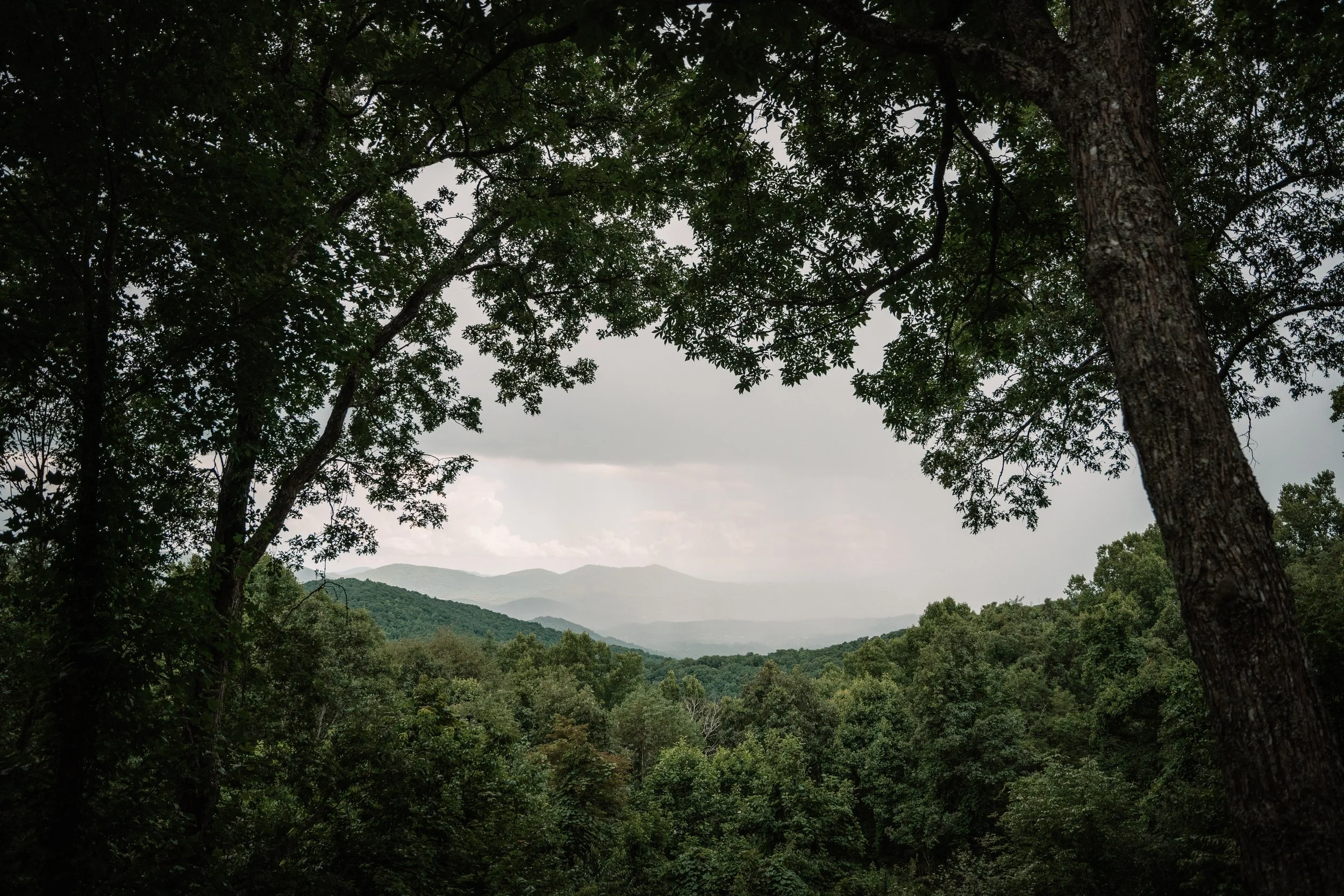 claxton-farm-wedding48.jpg