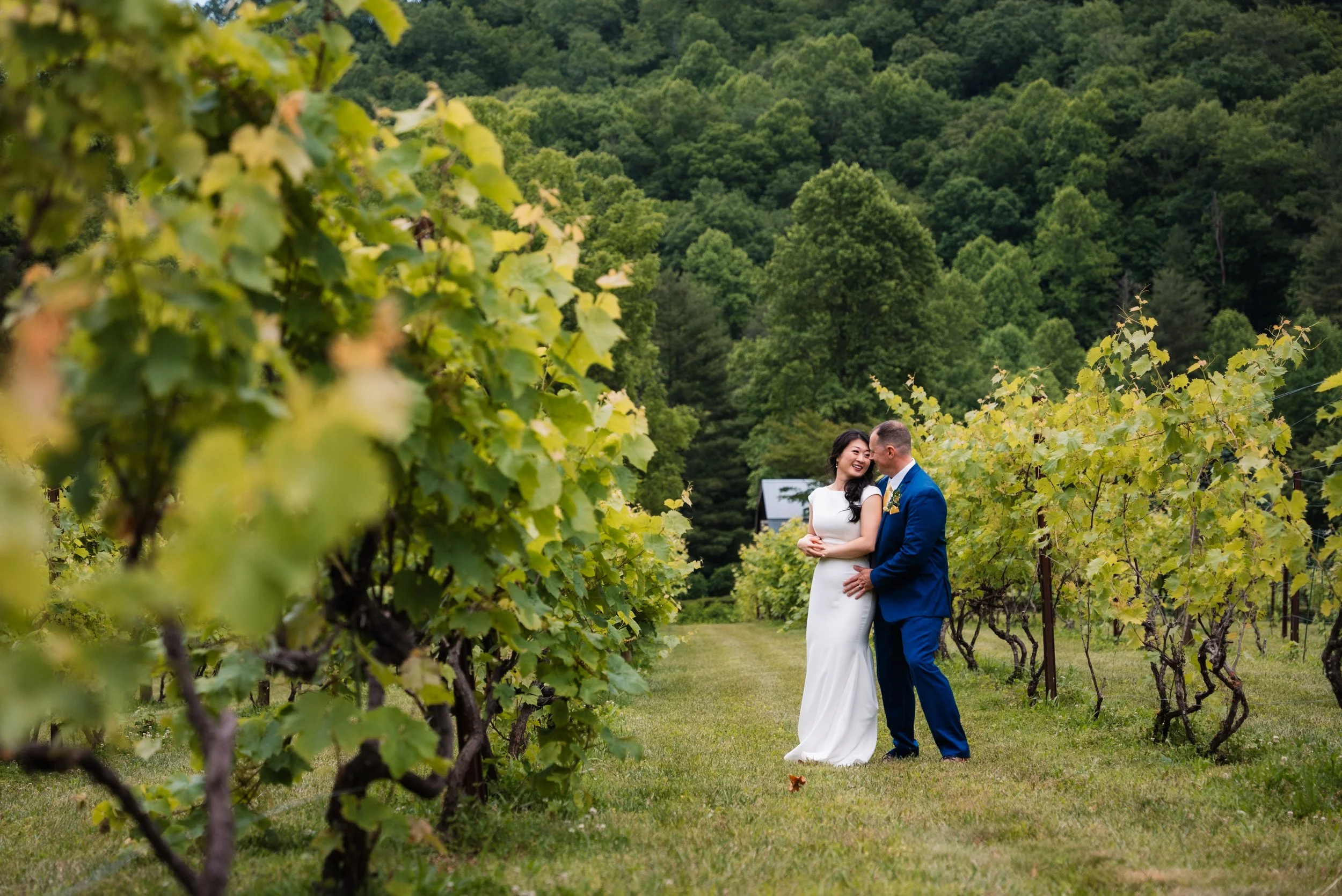 The Vineyard at Bettys Creek Wedding Video