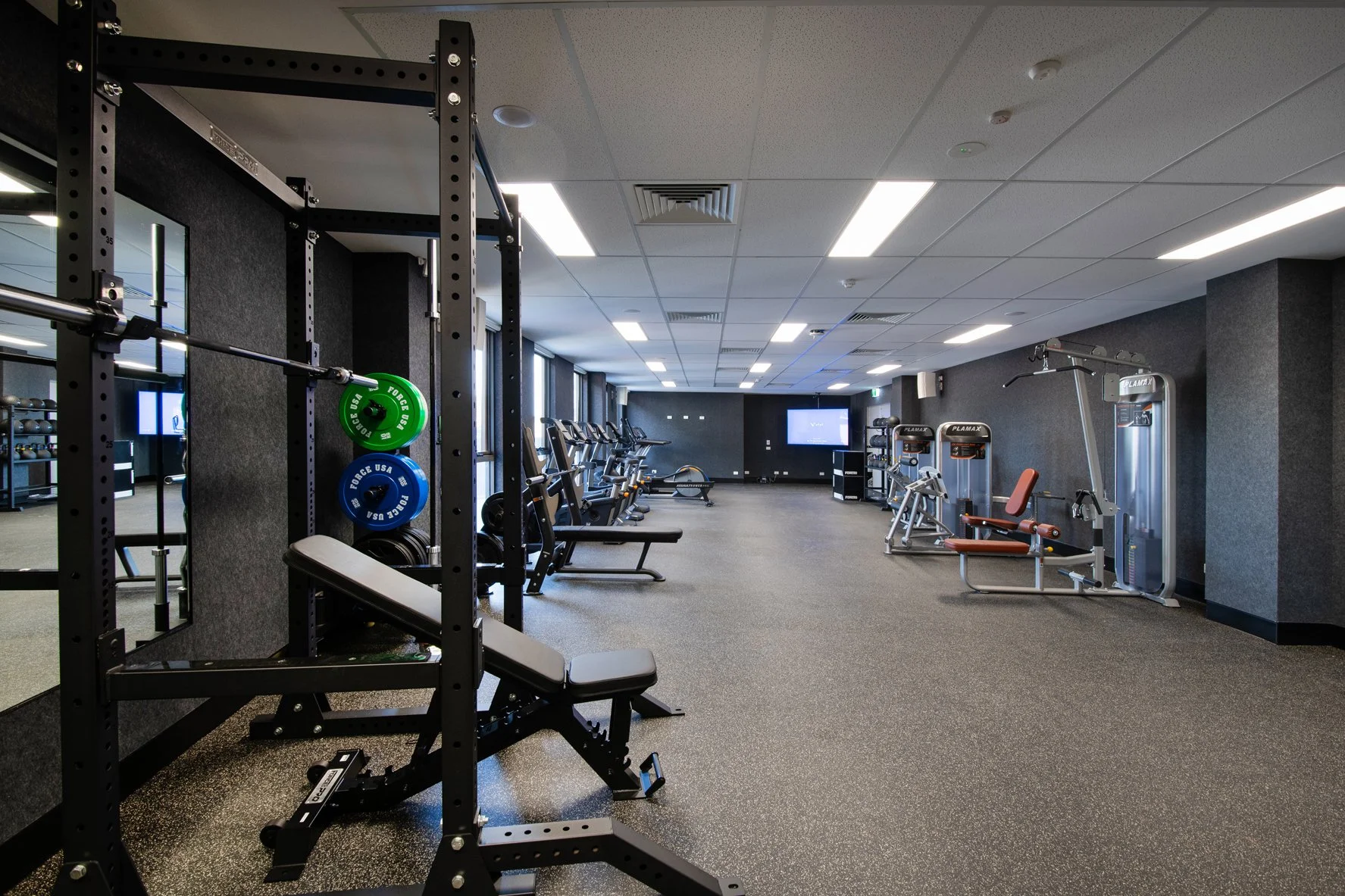 Cowyn 220425 082.jpg