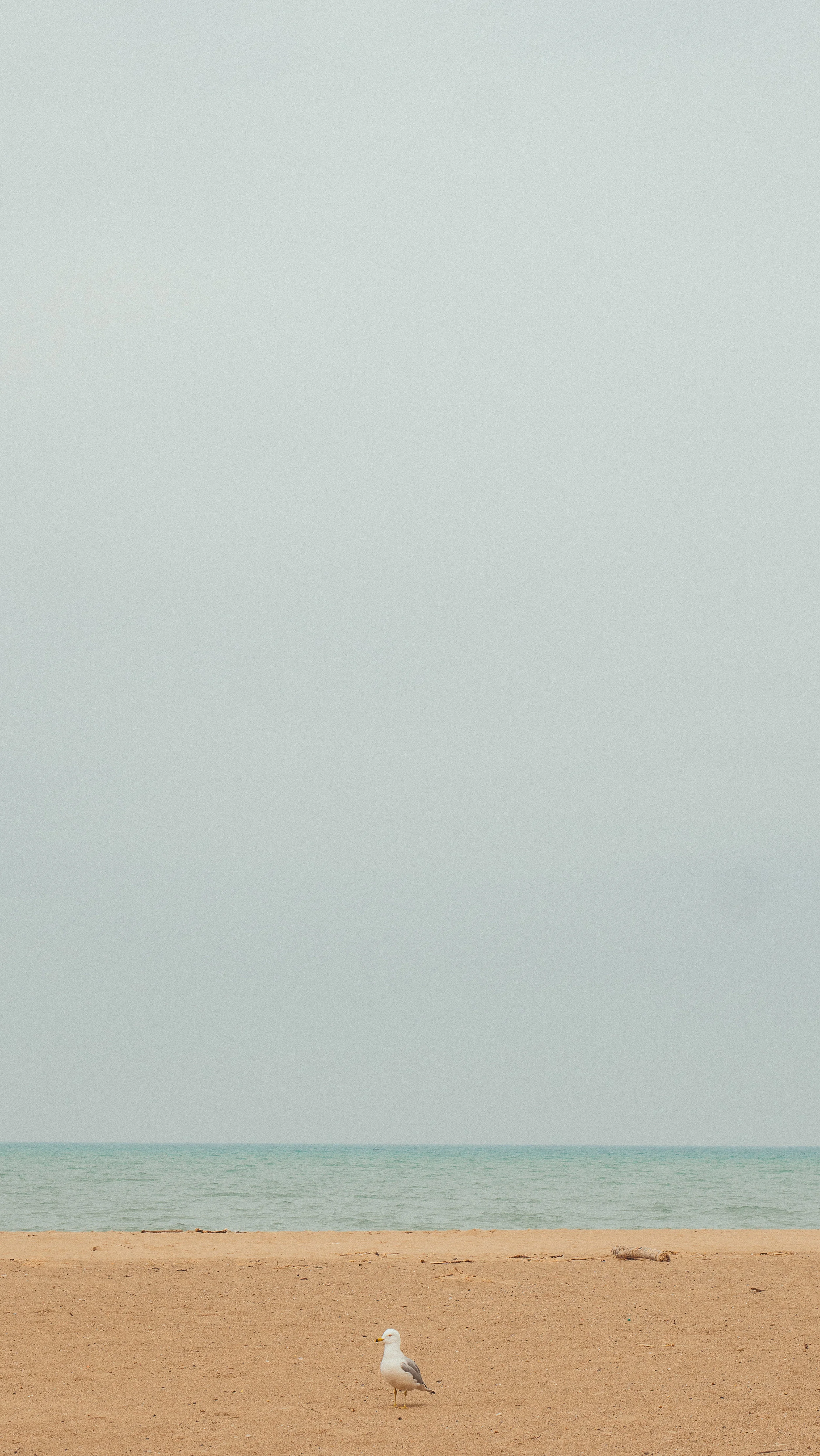 Wilmette Beach (9 of 11).jpg