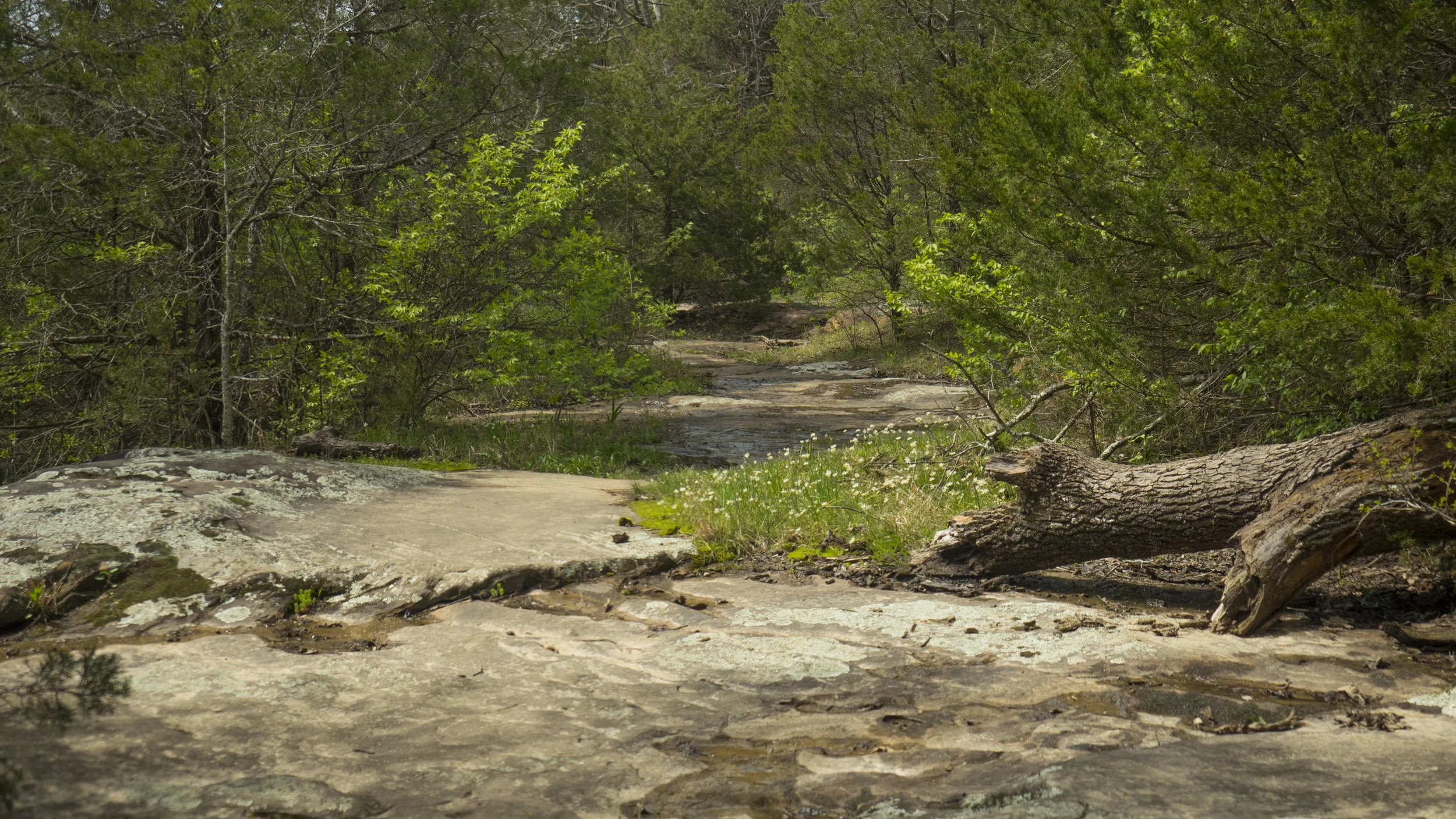 Giant City State Park.jpg