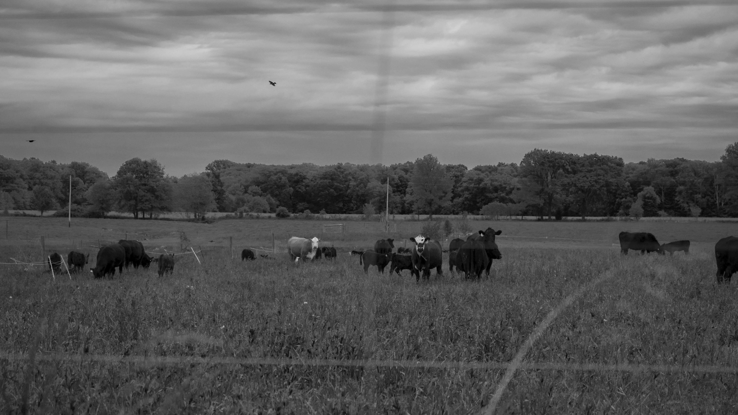 Mid west at its finest .jpg