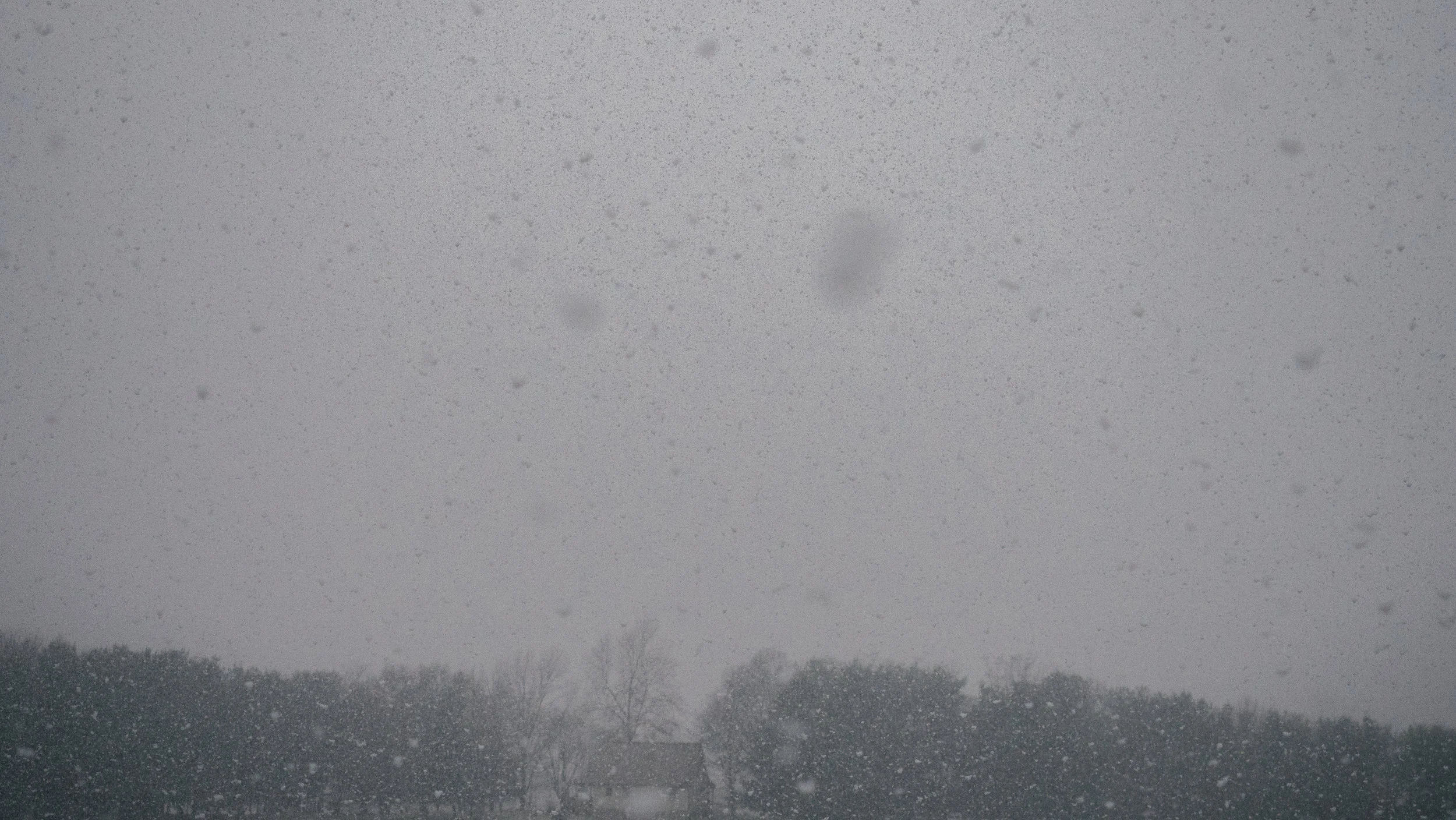 Snow on the ground-1322360.jpg