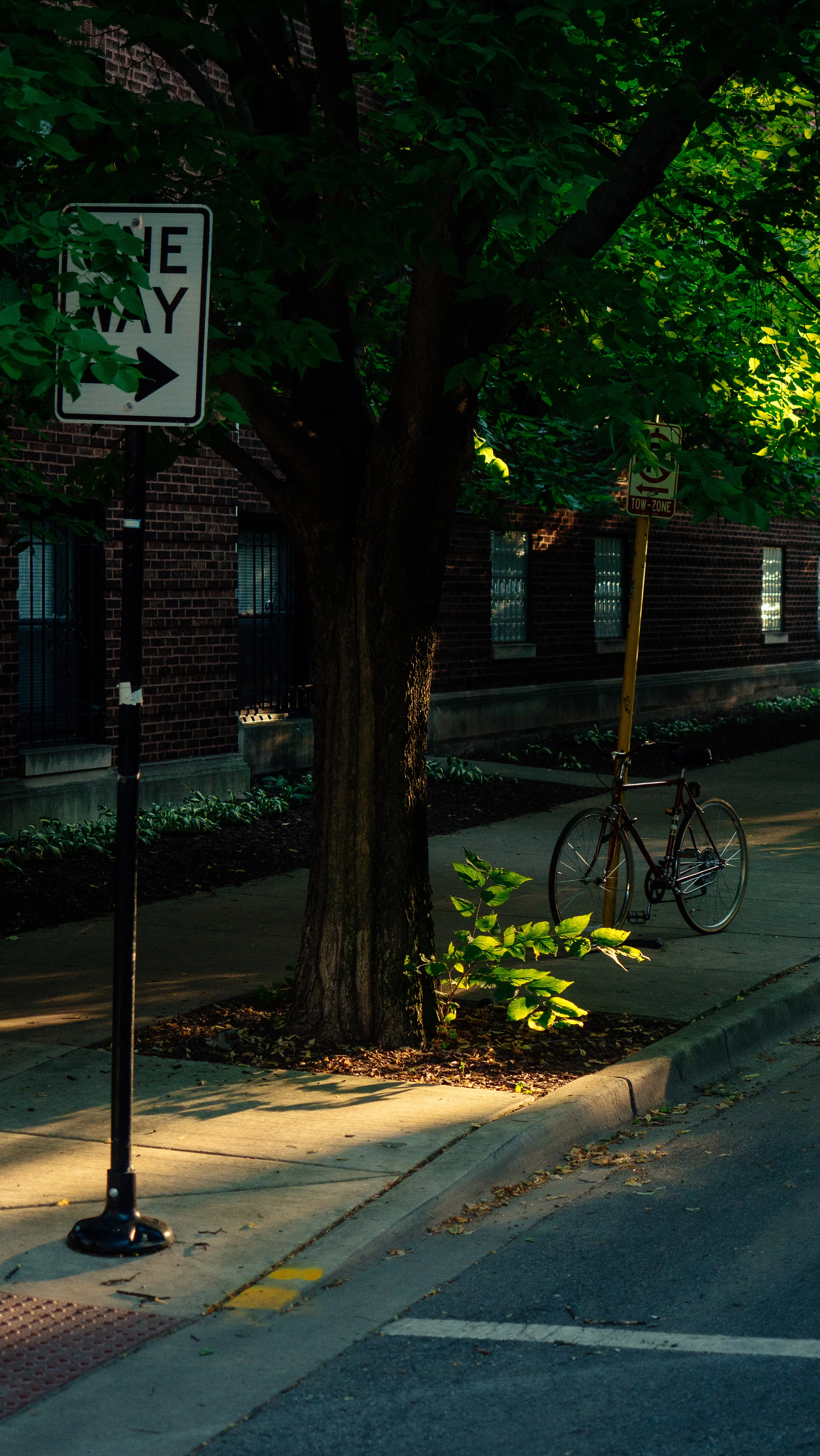 Photos (1 of 13).jpg