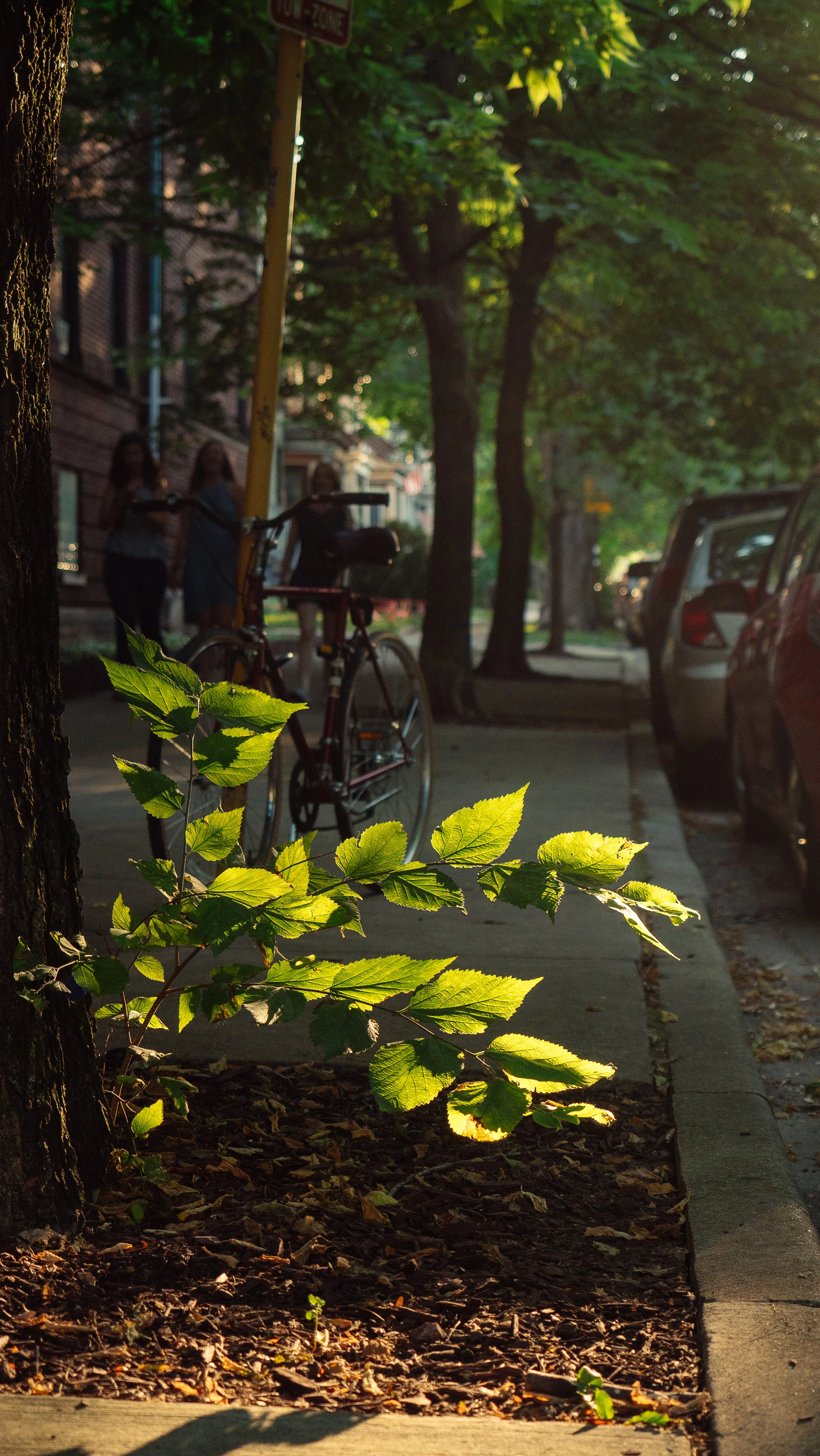 Photos (3 of 13).jpg