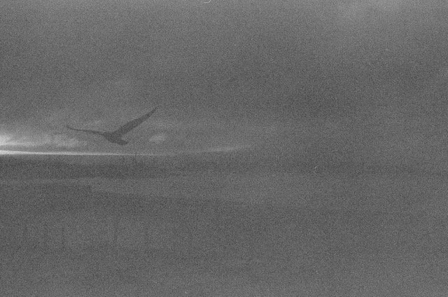 Film burn 5-6 Medium.jpeg