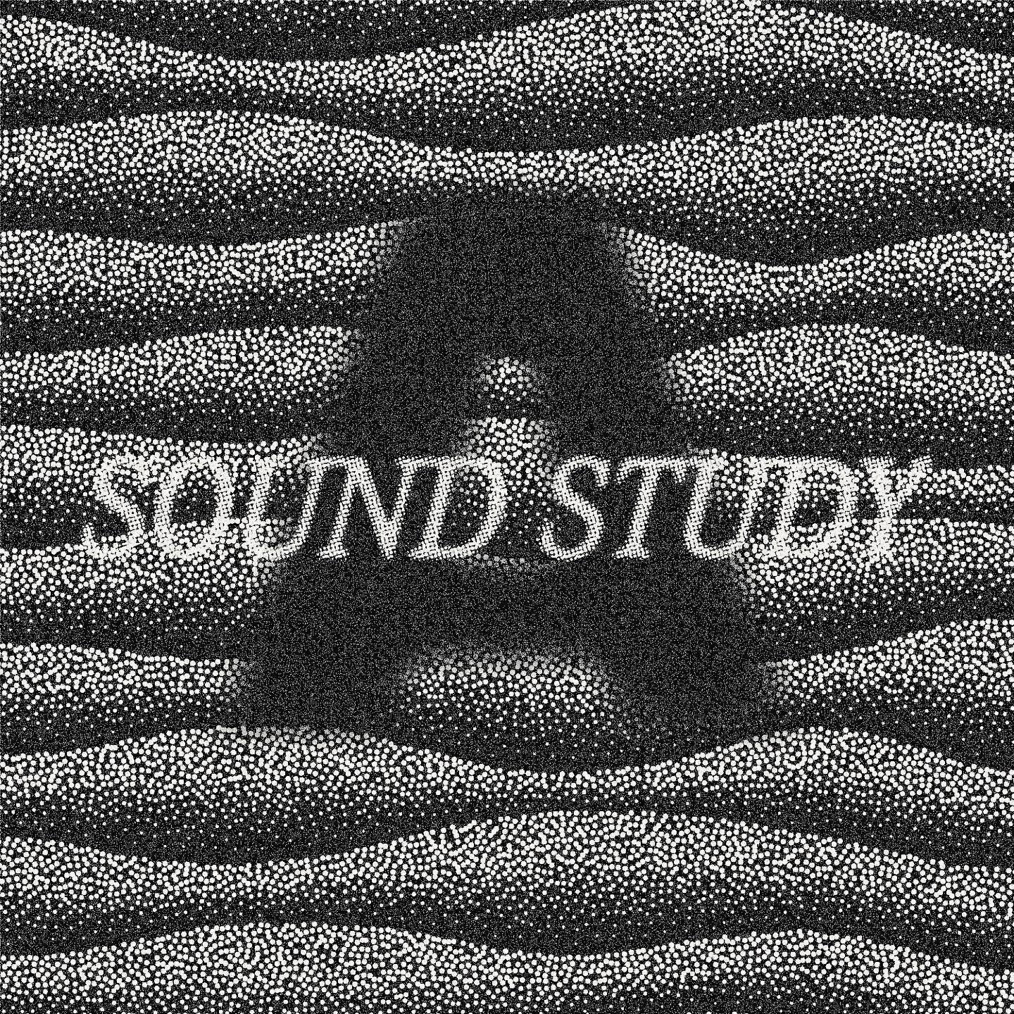 New art work for @sashamvrie new &ldquo;sound study&rdquo;. A lesson in discovery. Love this.