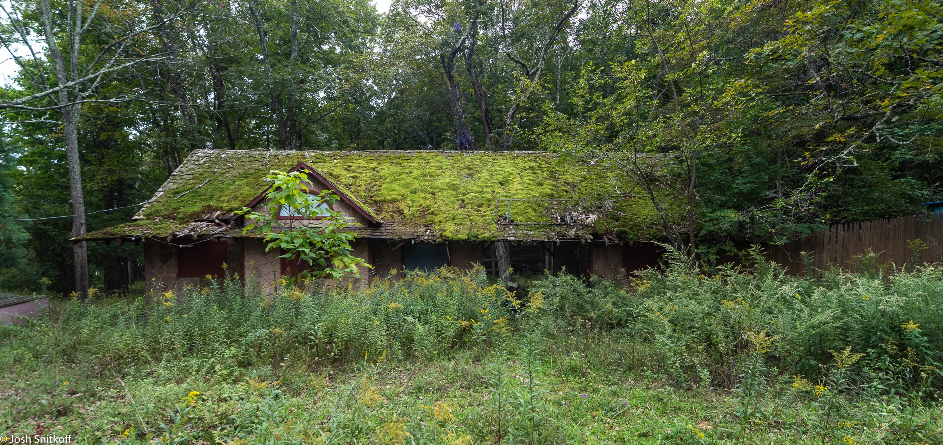 Game Farm-6334.jpg