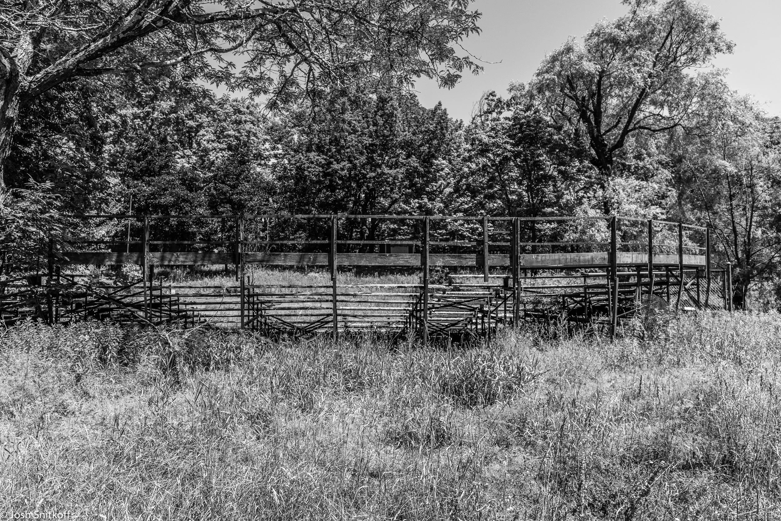Game Farm-5744.jpg