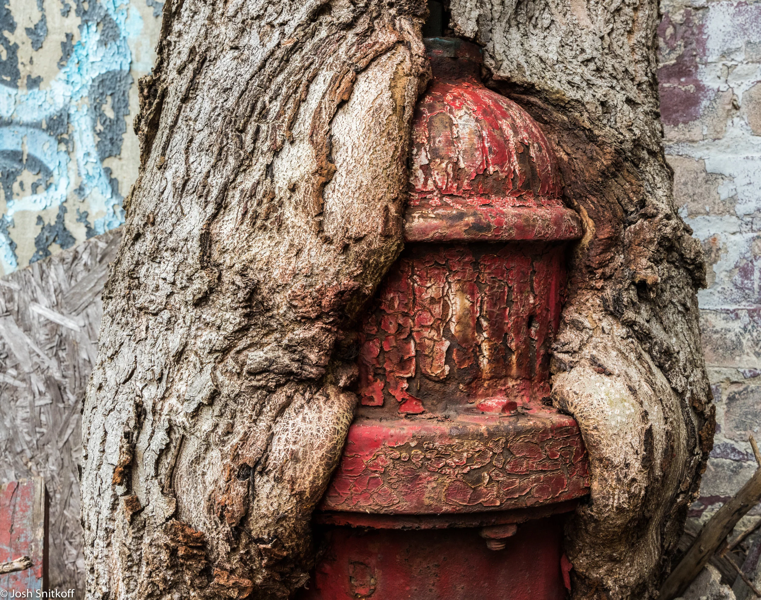packard hydrant-5382.jpg