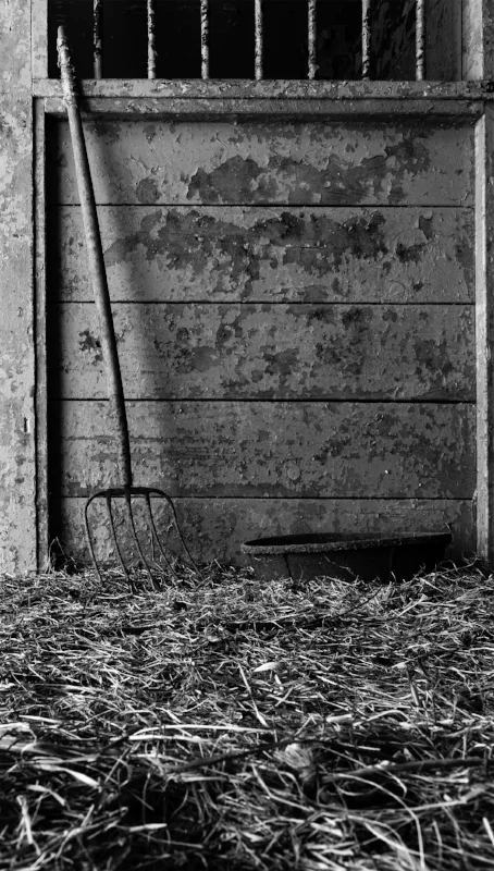 Pitchfork Horse Barn.jpg