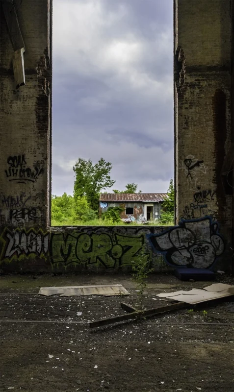 Looking Out.jpg