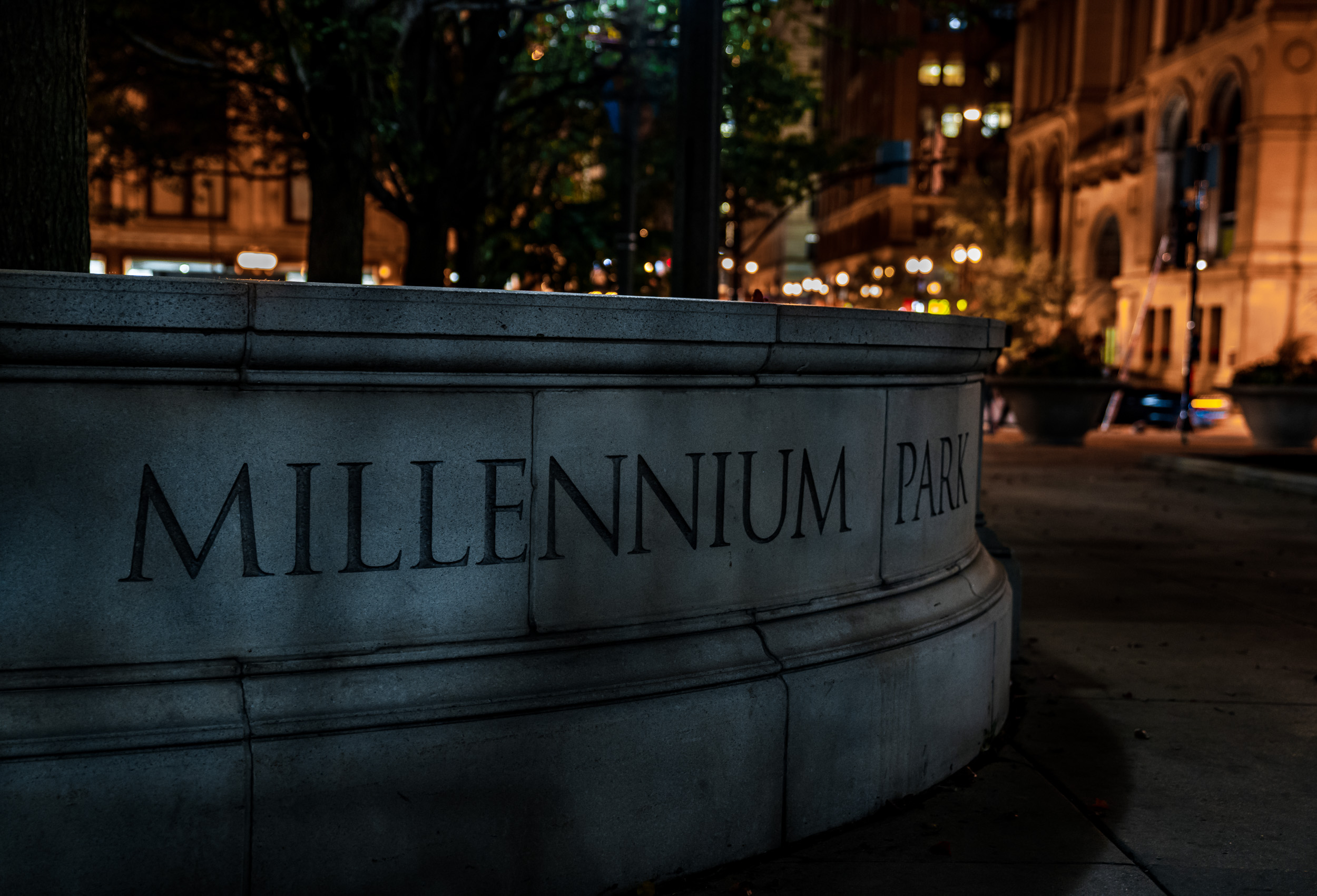 Millennim park night website 2.JPG