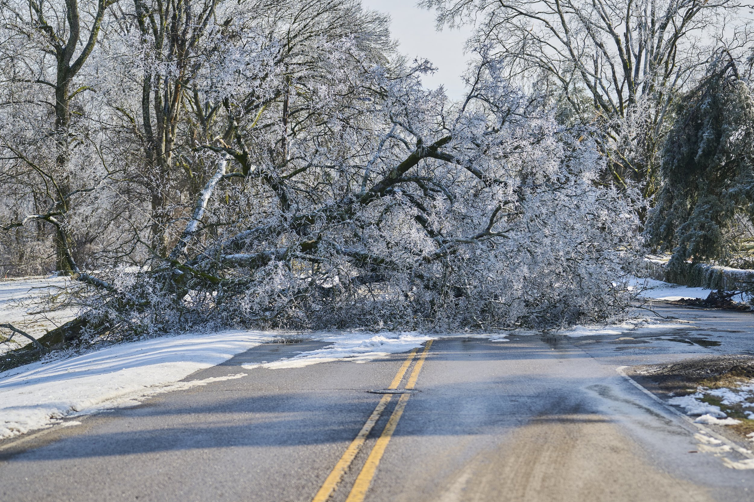 2026.01.29 Ice Storm Daytime_219.jpg