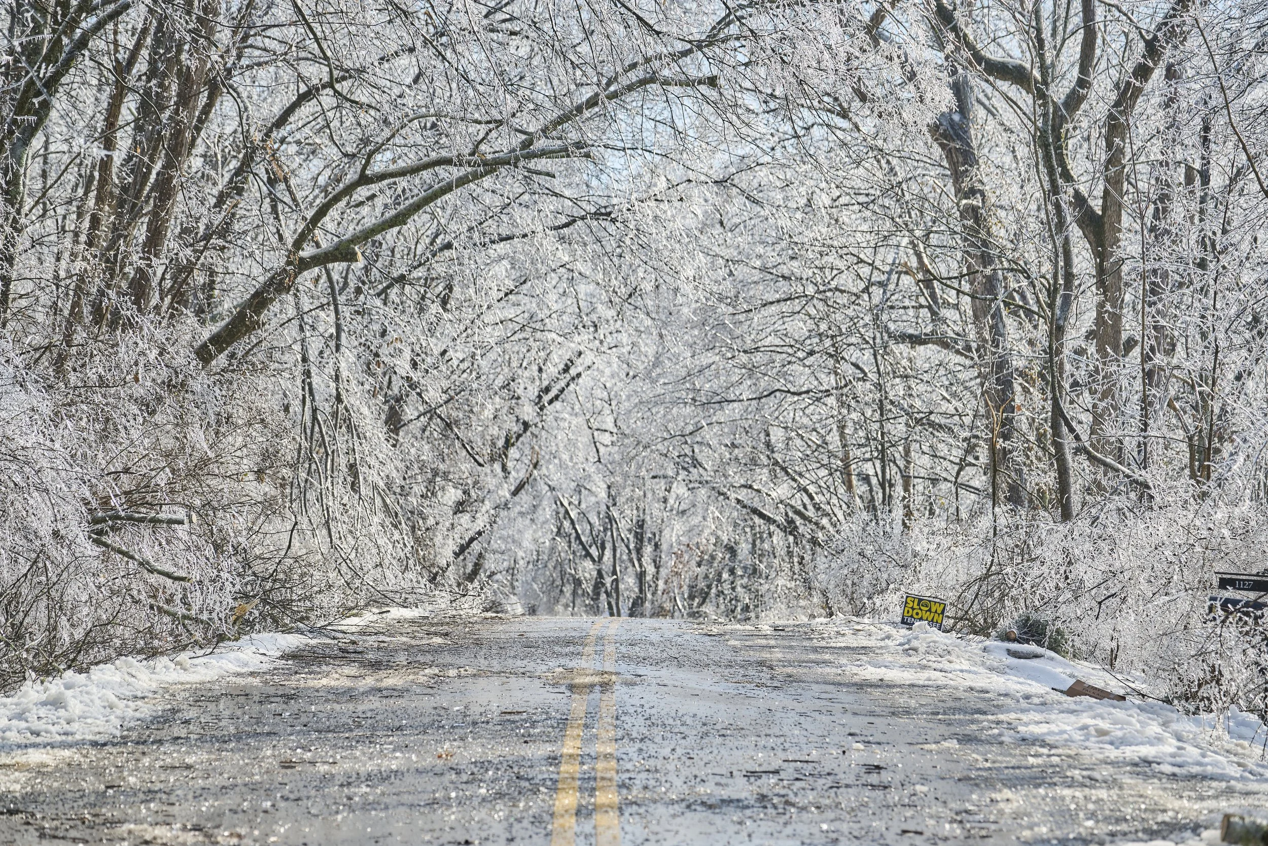 2026.01.29 Ice Storm Daytime_439_24X16.jpg