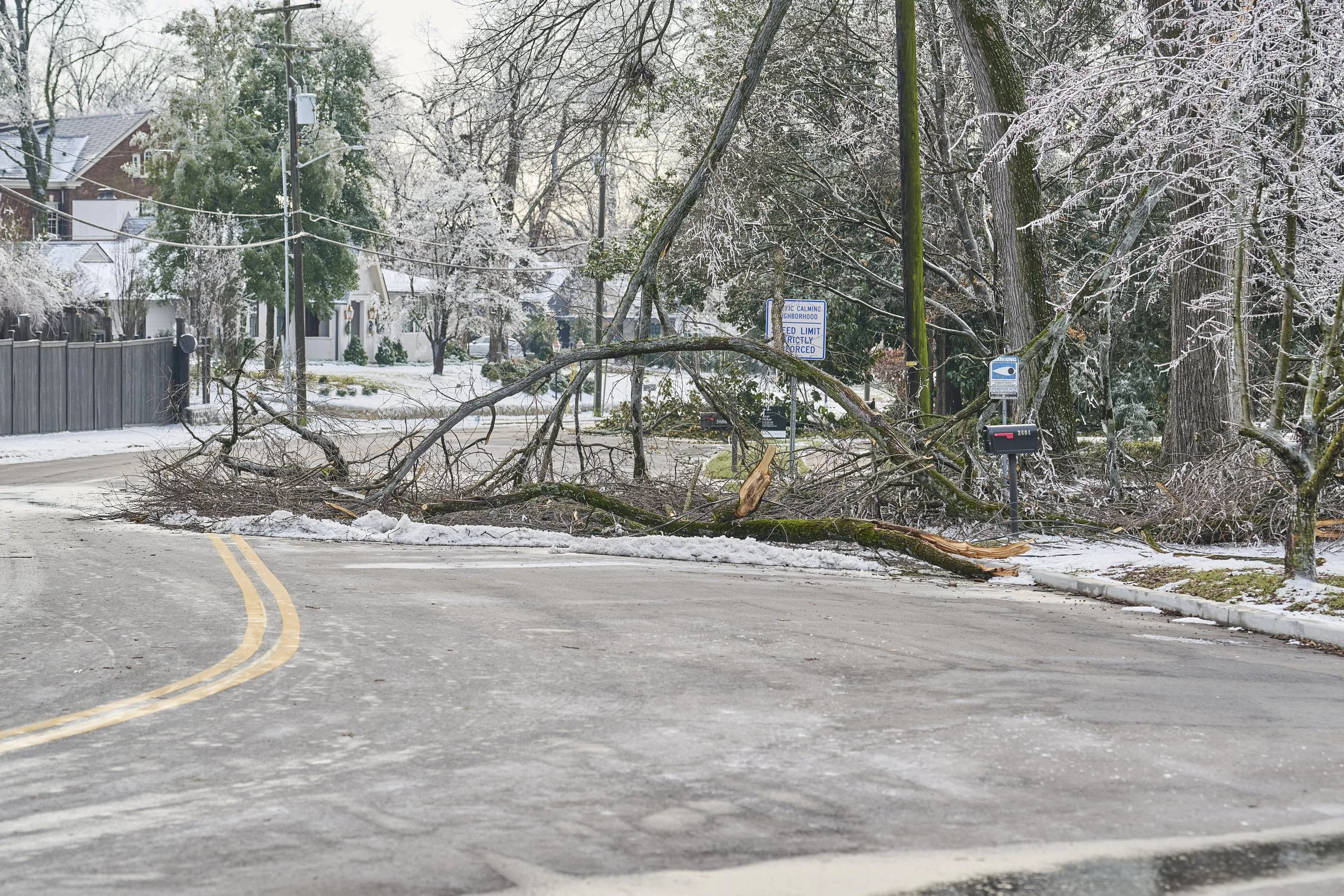 2026.01.29 Ice Storm Daytime_685.jpg
