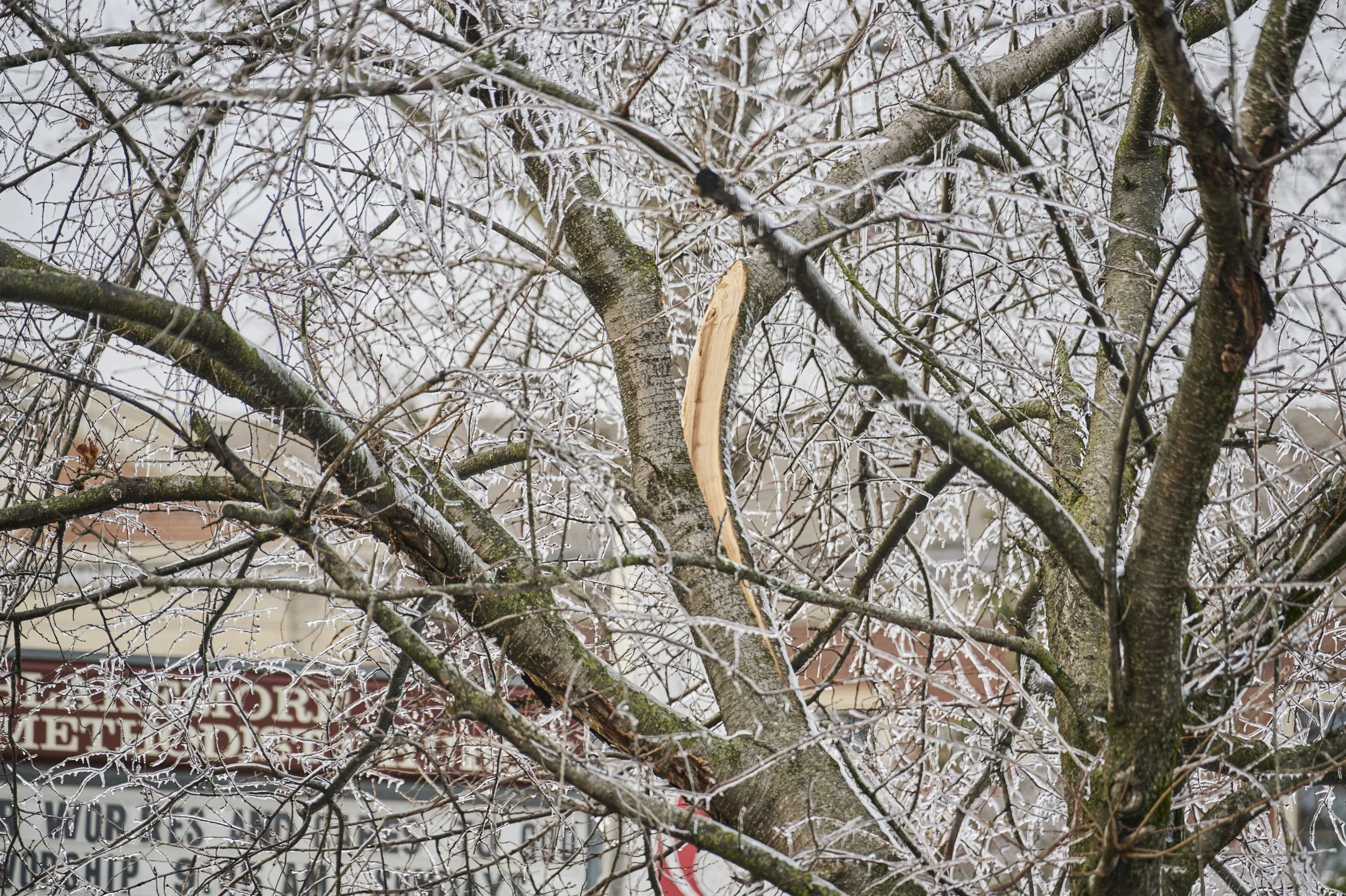 2026.01.29 Ice Storm Daytime_704.jpg