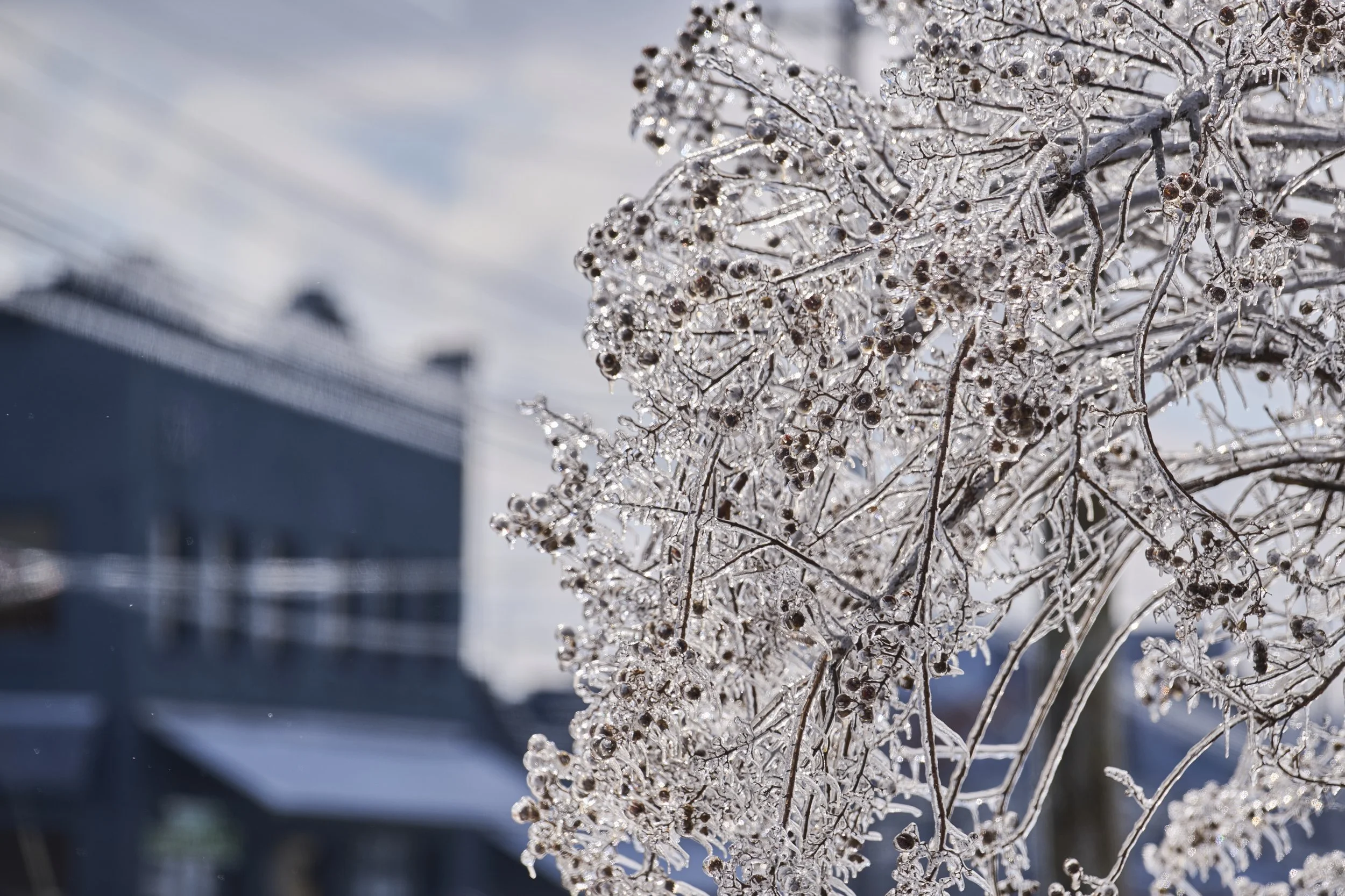 2026.01.26 Nashville Ice Storm_048.jpg