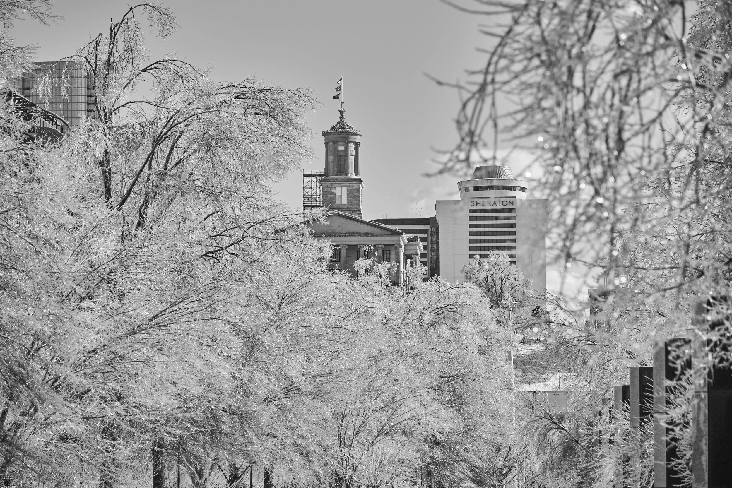 2026.01.26 Nashville Ice Storm_328.jpg