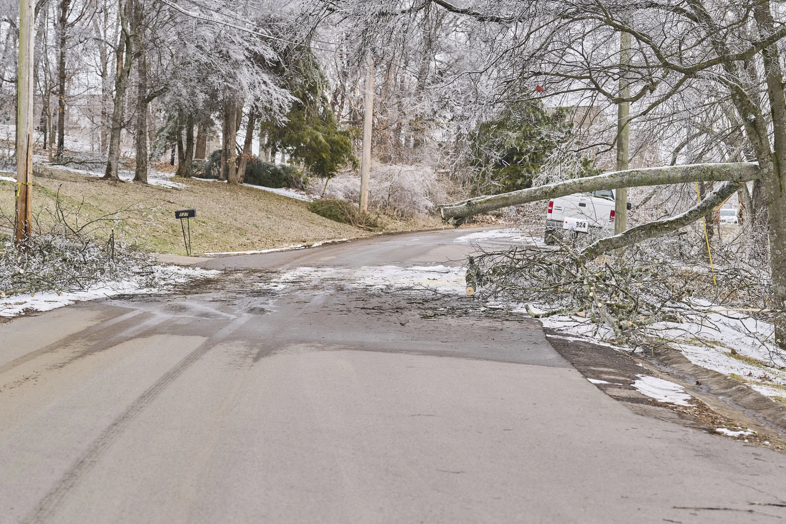 2026.01.30 Nashville Ice Storm Day 5_052.jpg
