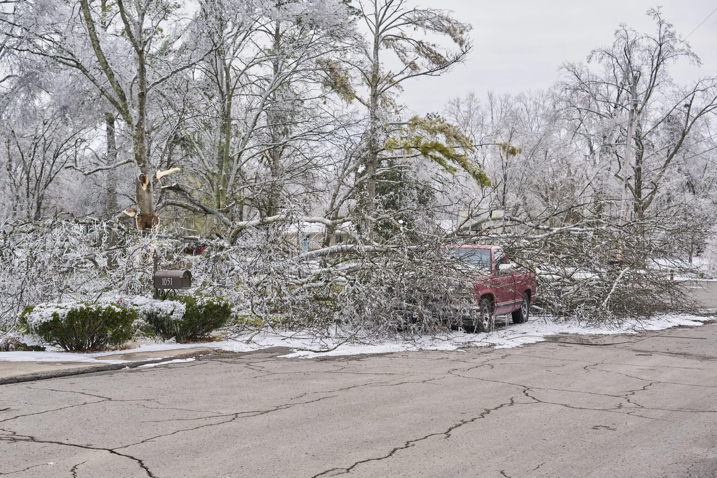 2026.01.30 Nashville Ice Storm Day 5_042.jpg