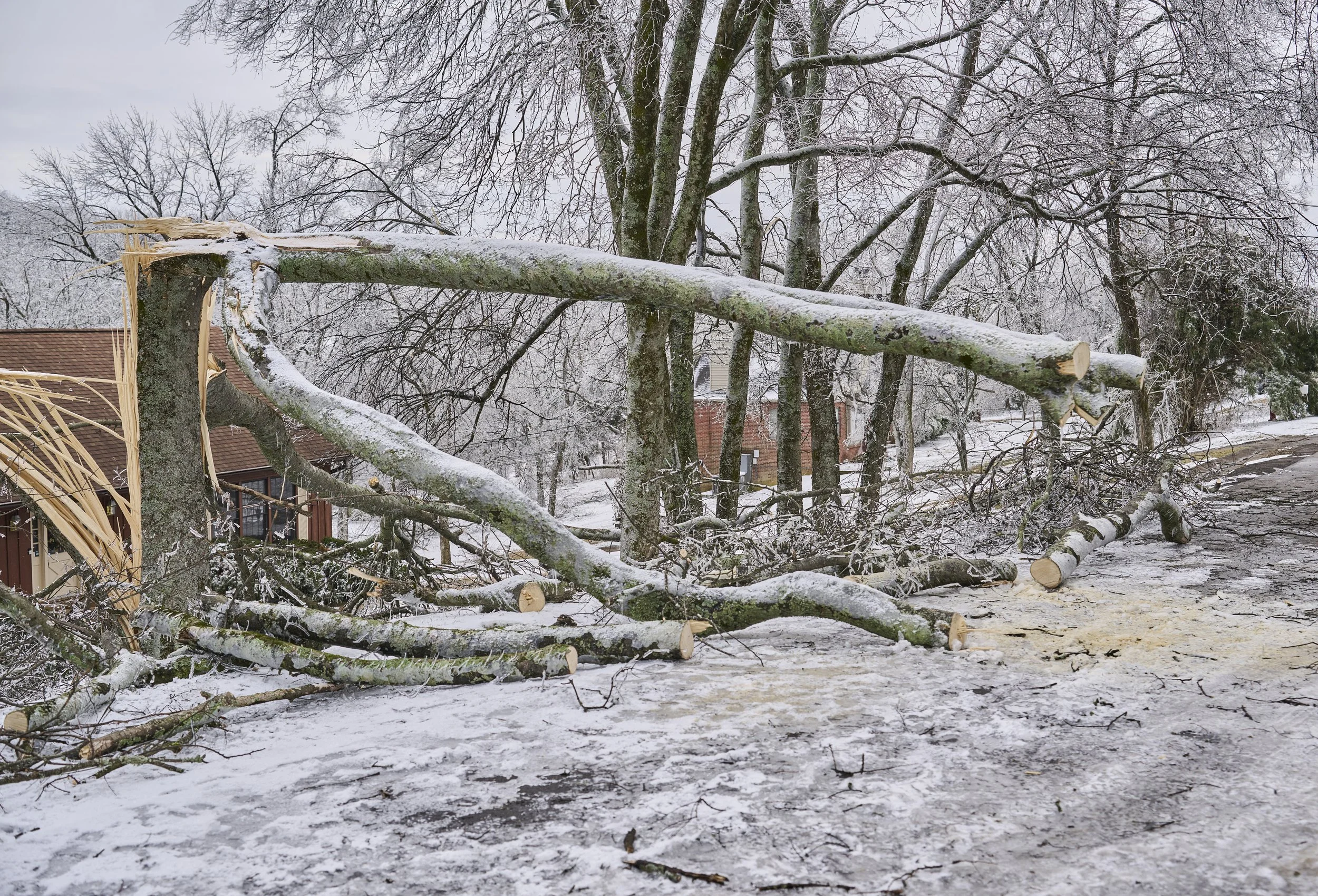 2026.01.30 Nashville Ice Storm Day 5_108.jpg
